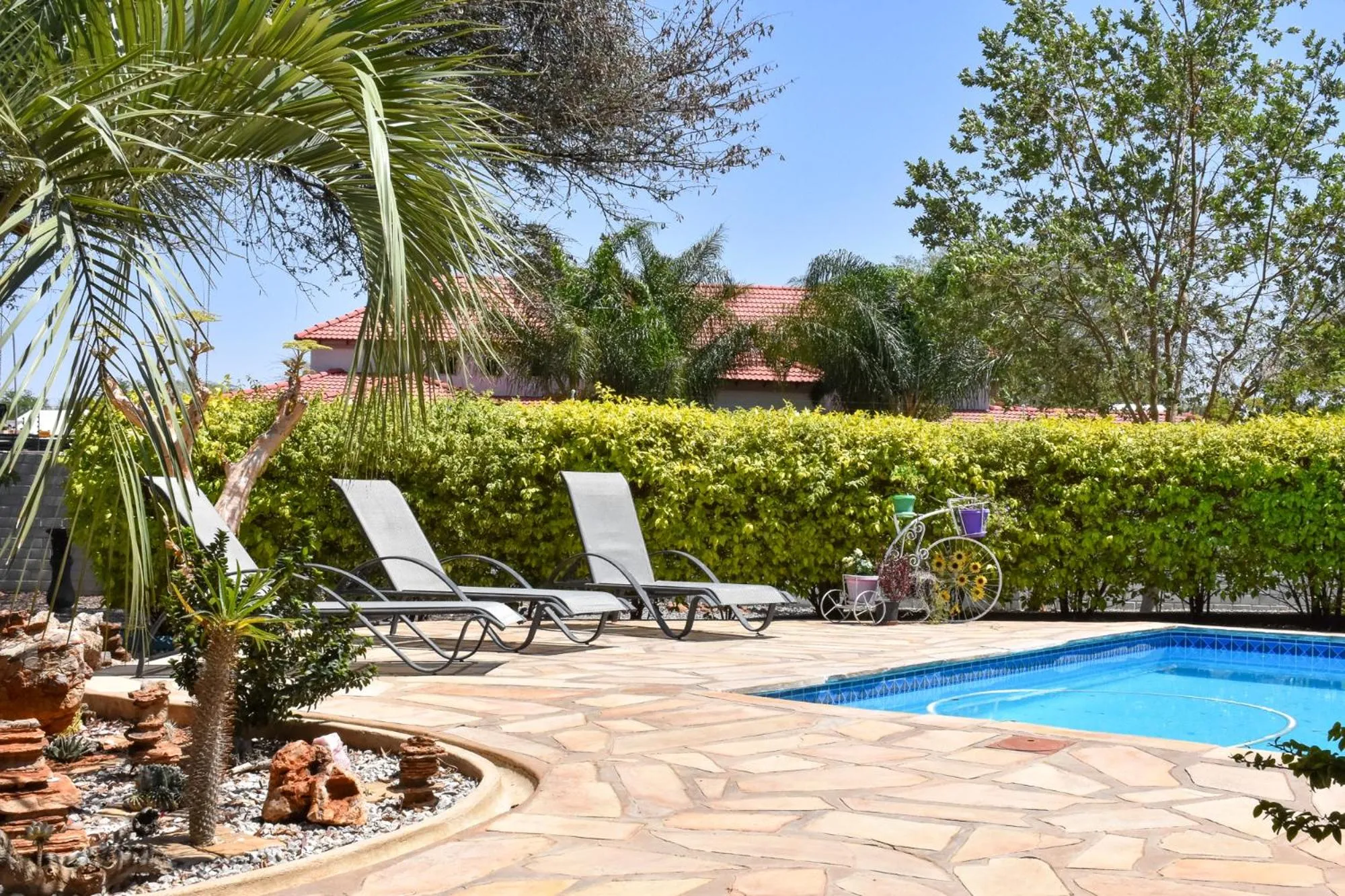 Swimming pool in Kamaku Guesthouse cc