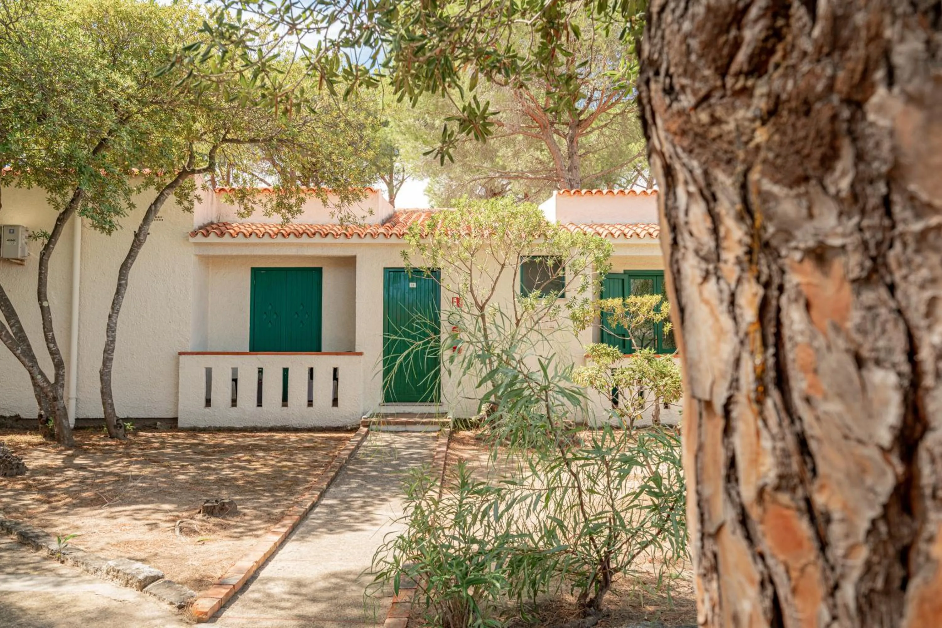 Property building in Club Esse Cala Bitta