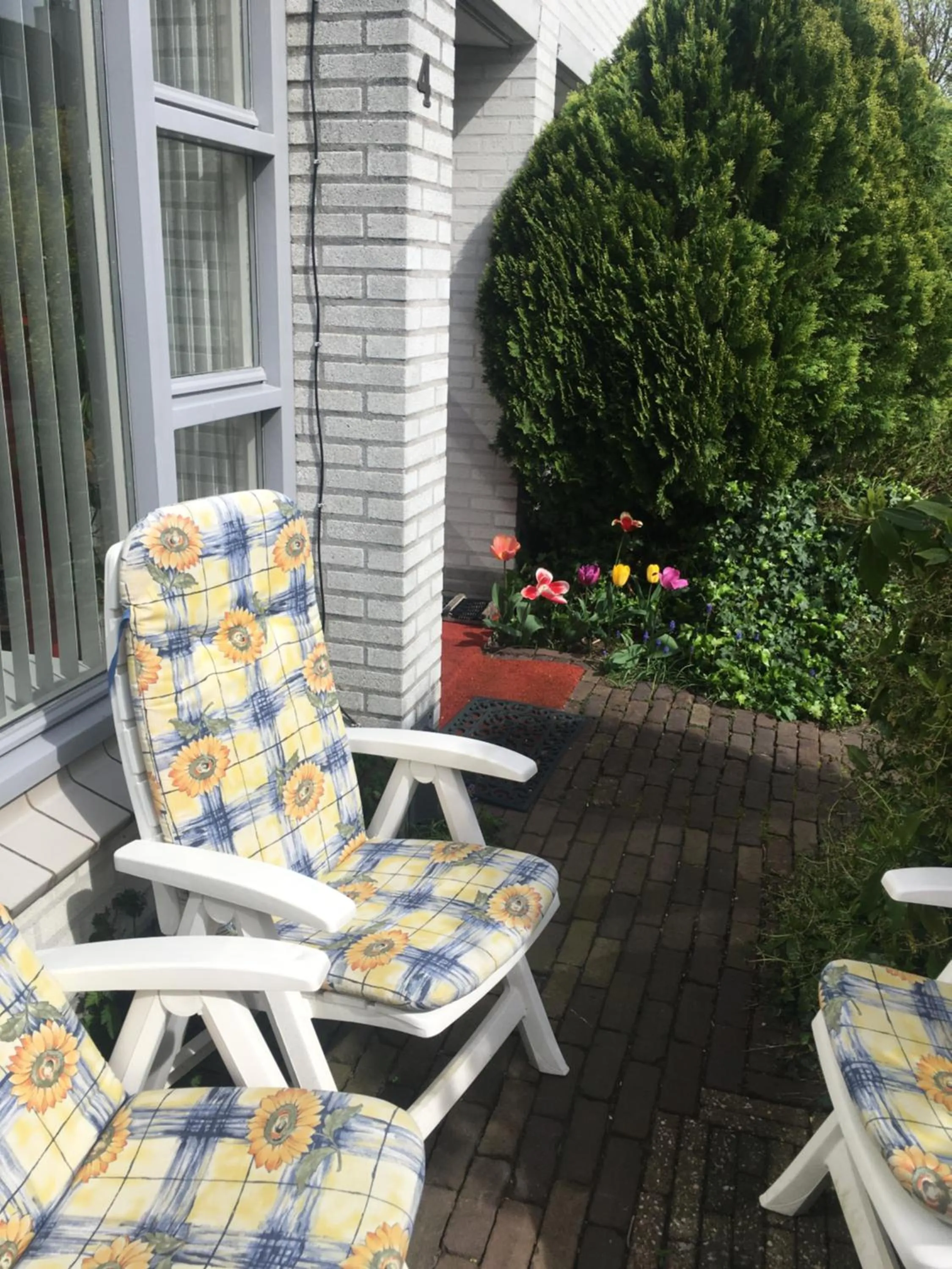 Spring in Wim's Place Schiphol Amsterdam Airport