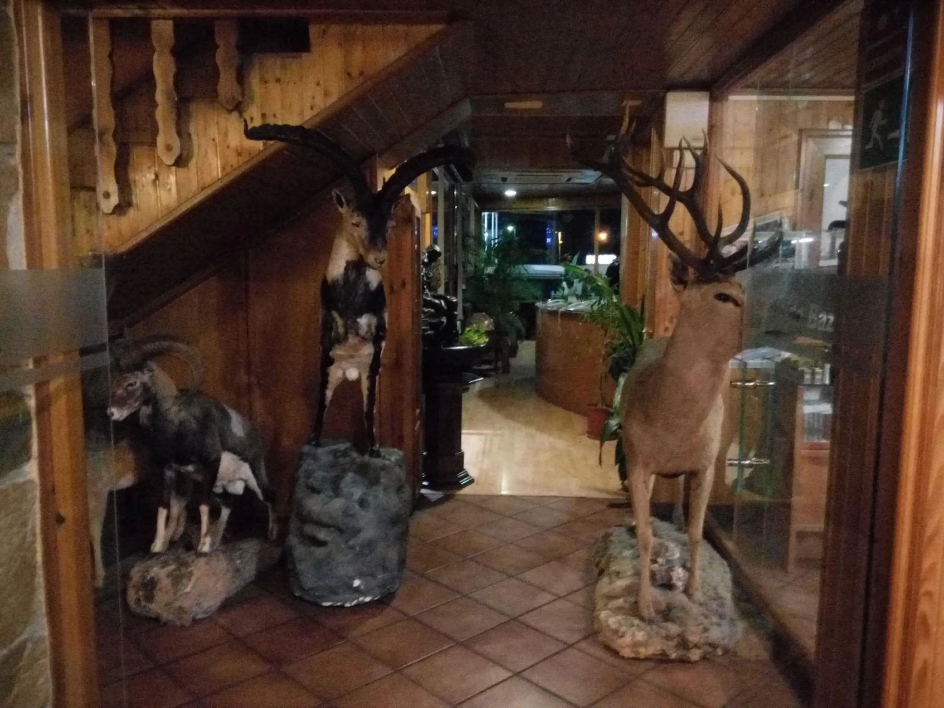 Night in Hostal Sierra De Baza
