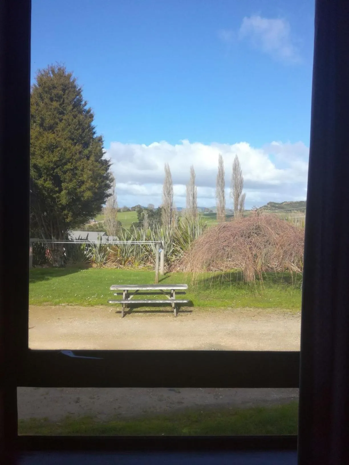 Natural landscape in JunoHall Backpackers