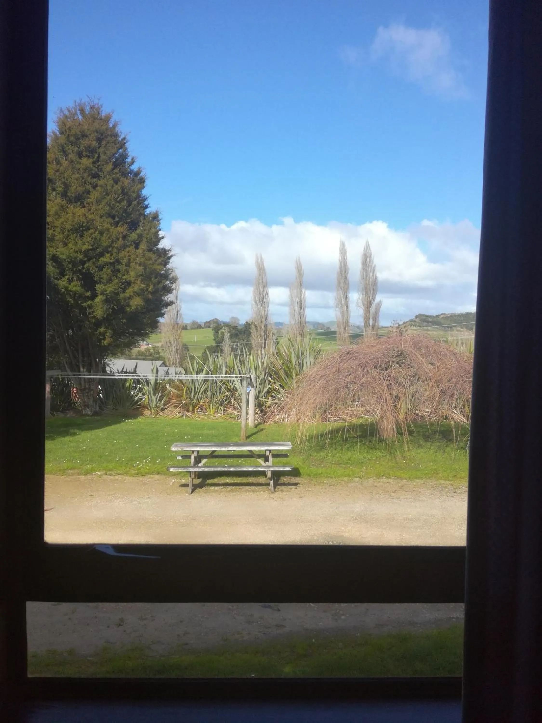 Garden in JunoHall Backpackers