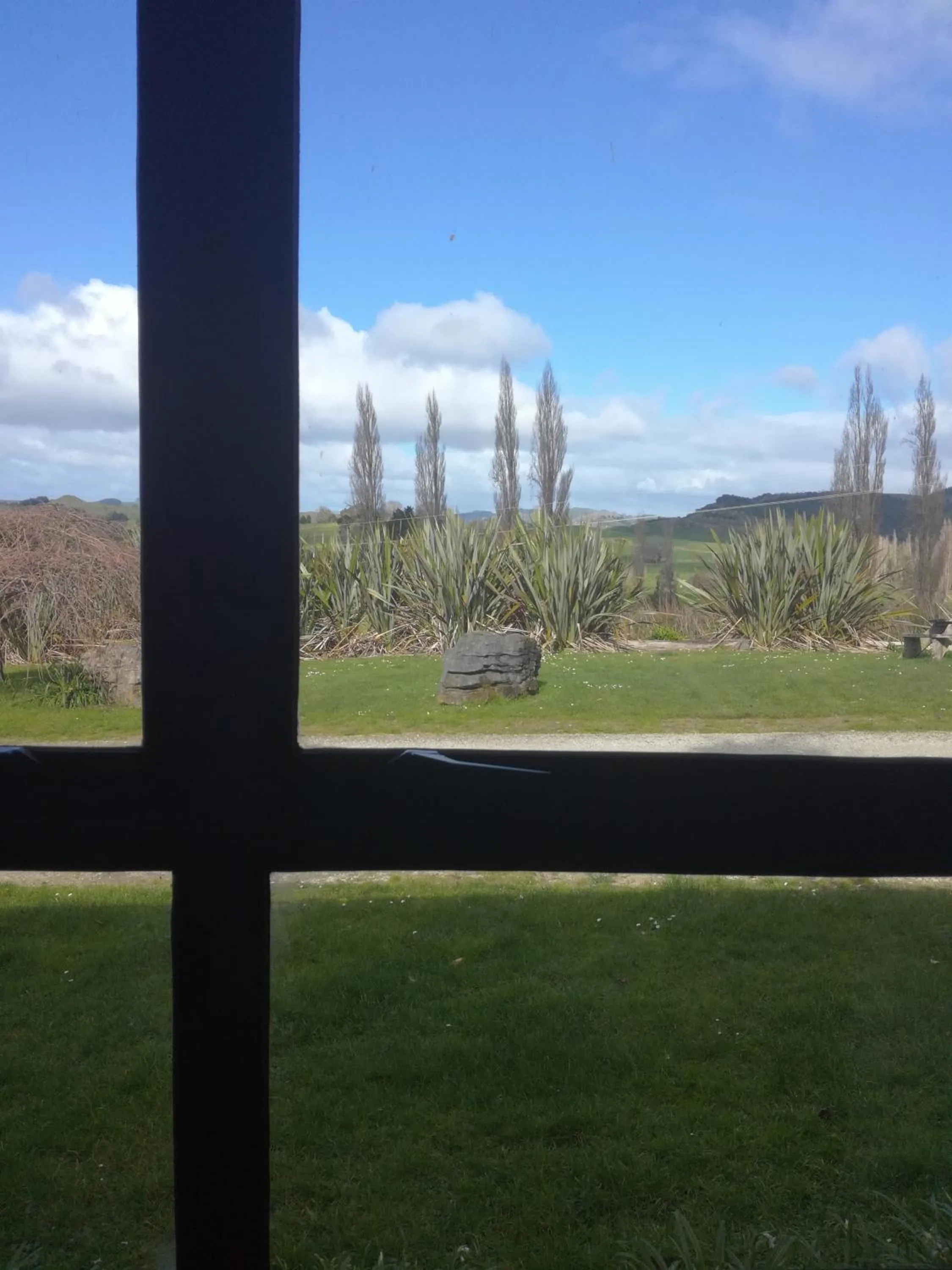 Garden in JunoHall Backpackers