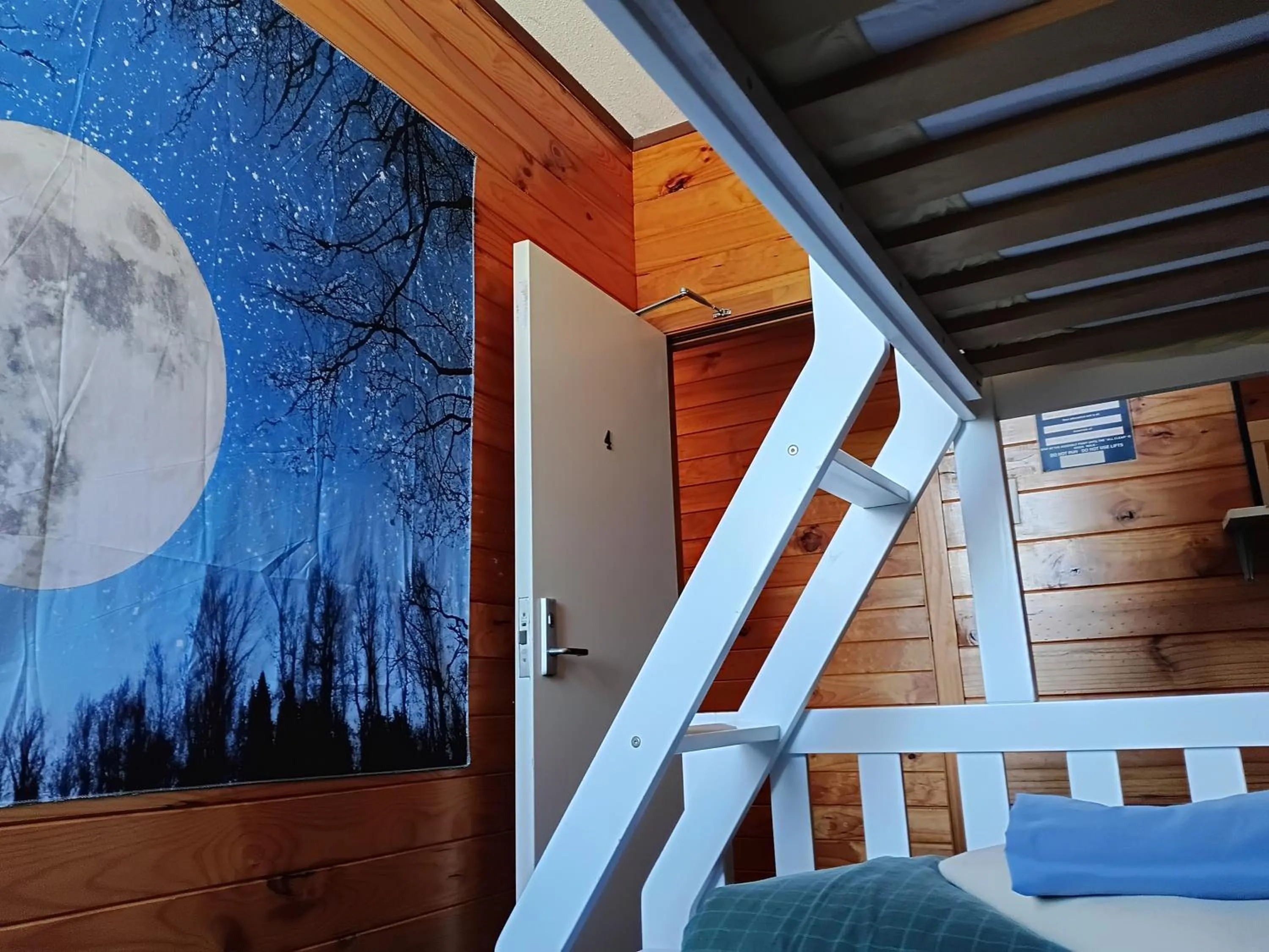 Bed in JunoHall Backpackers