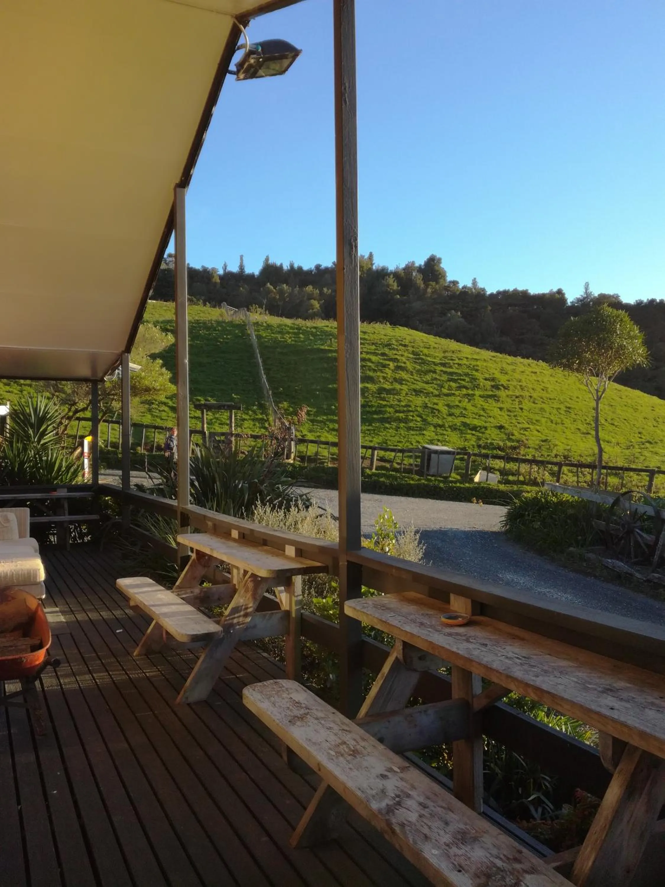 Balcony/Terrace in JunoHall Backpackers