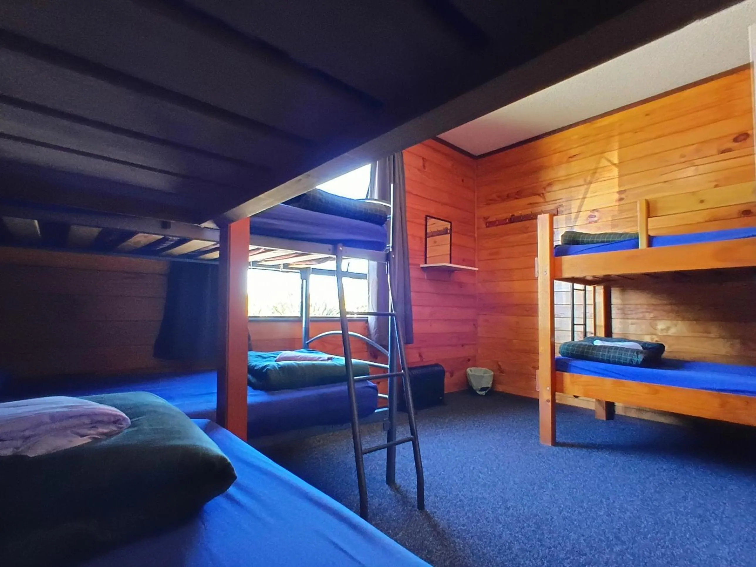 Bed in JunoHall Backpackers