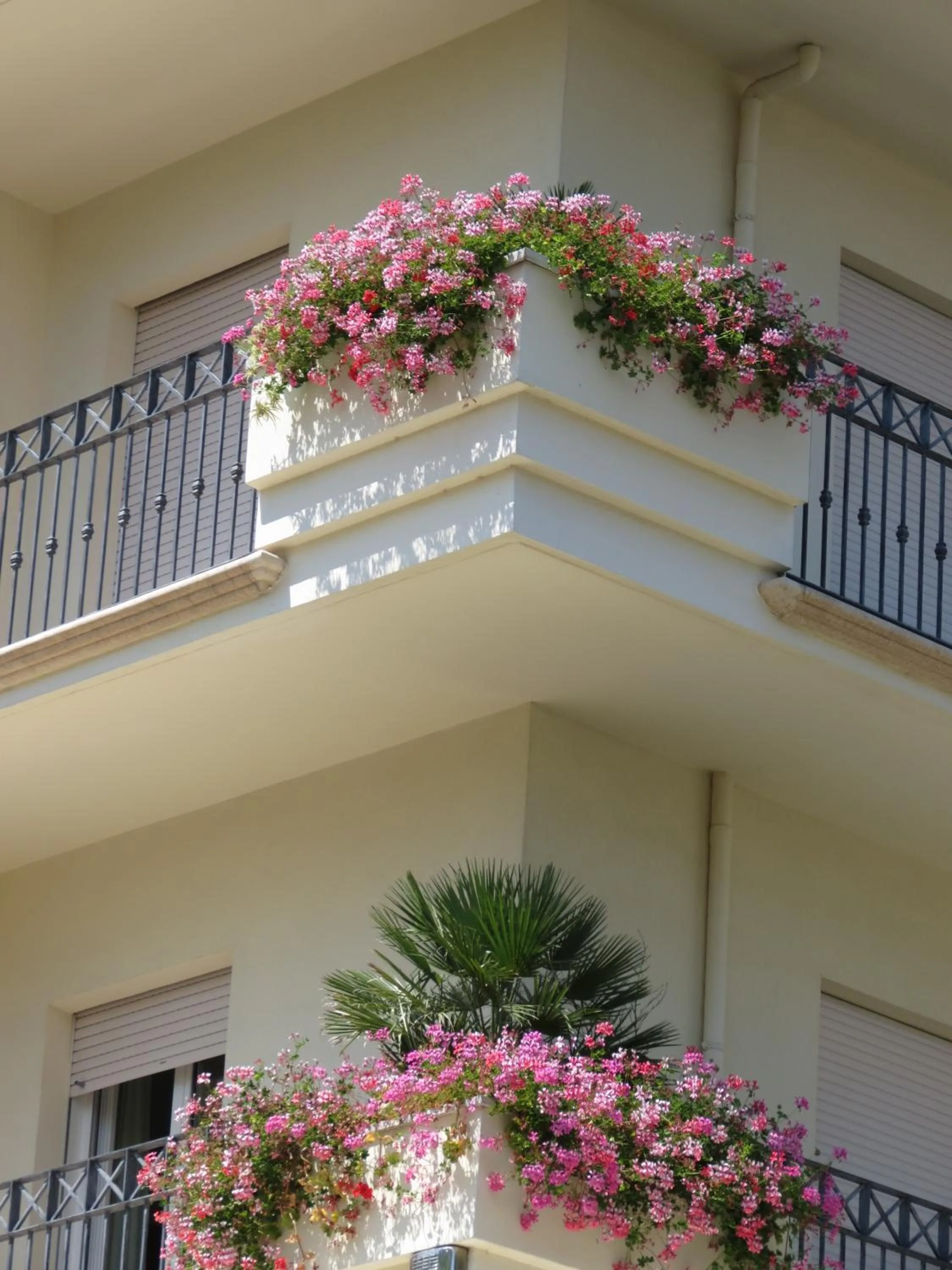 Hotel Luciana