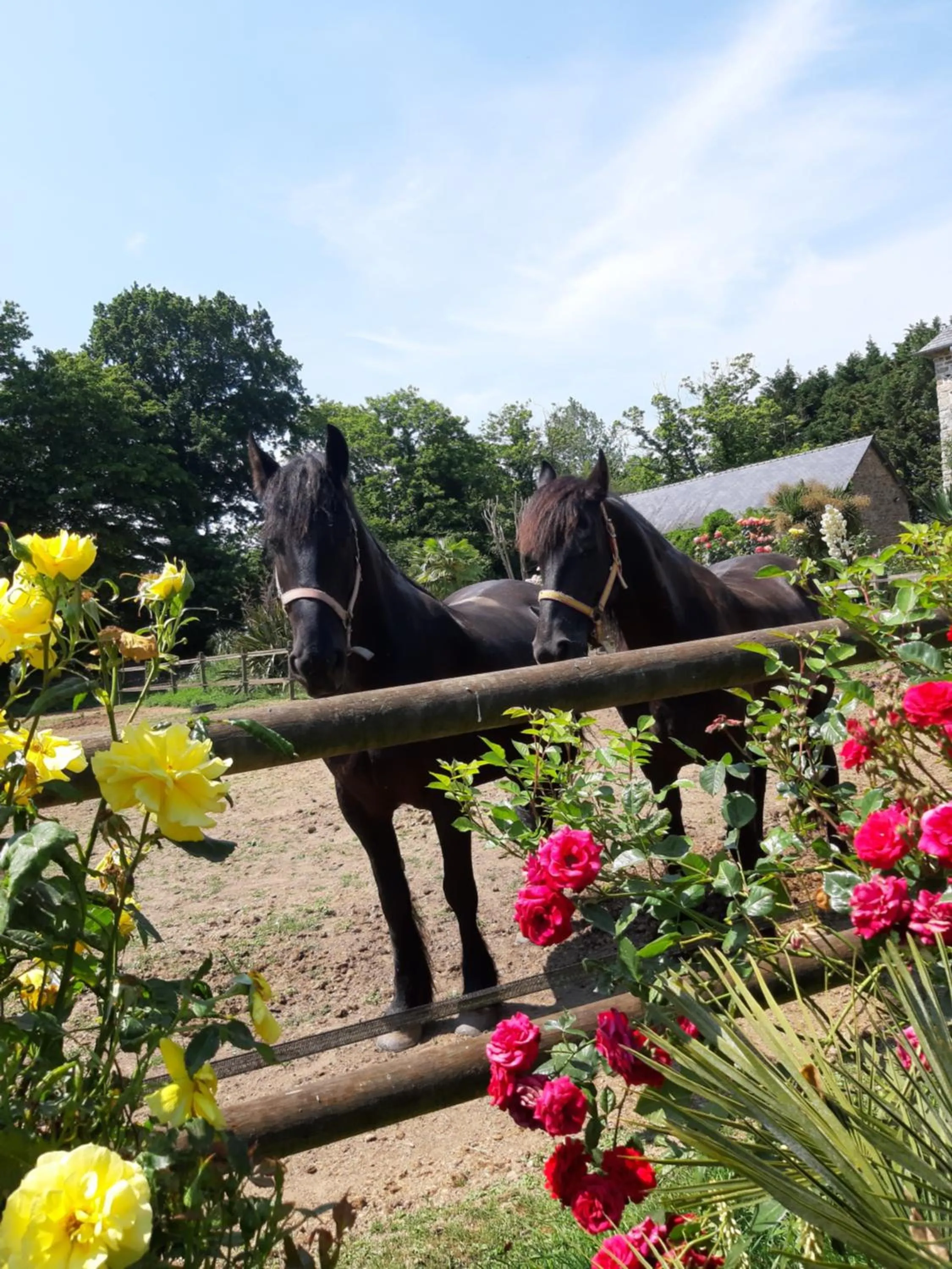 Animals in Manoir de la Peignie