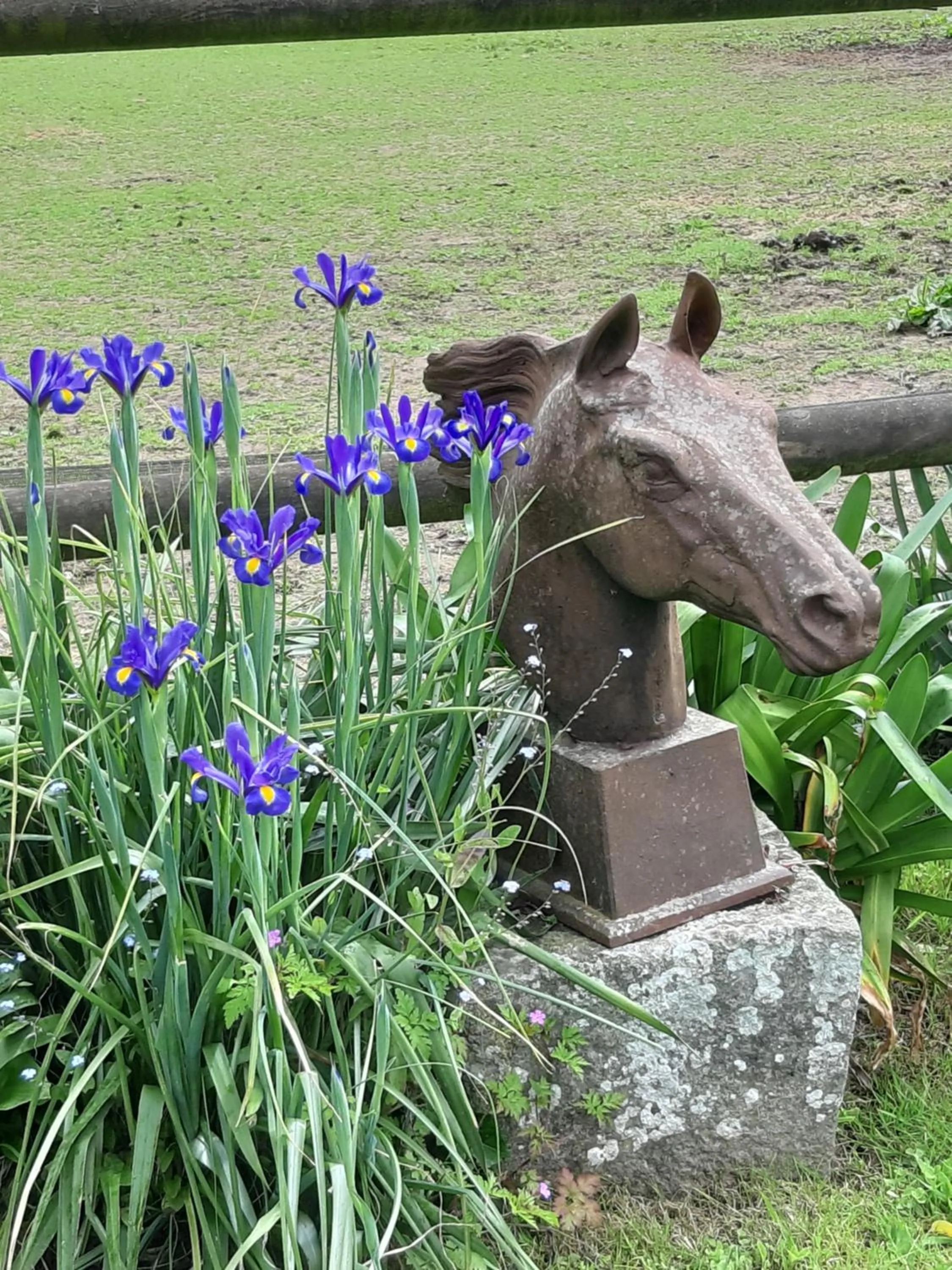 Spring in Manoir de la Peignie