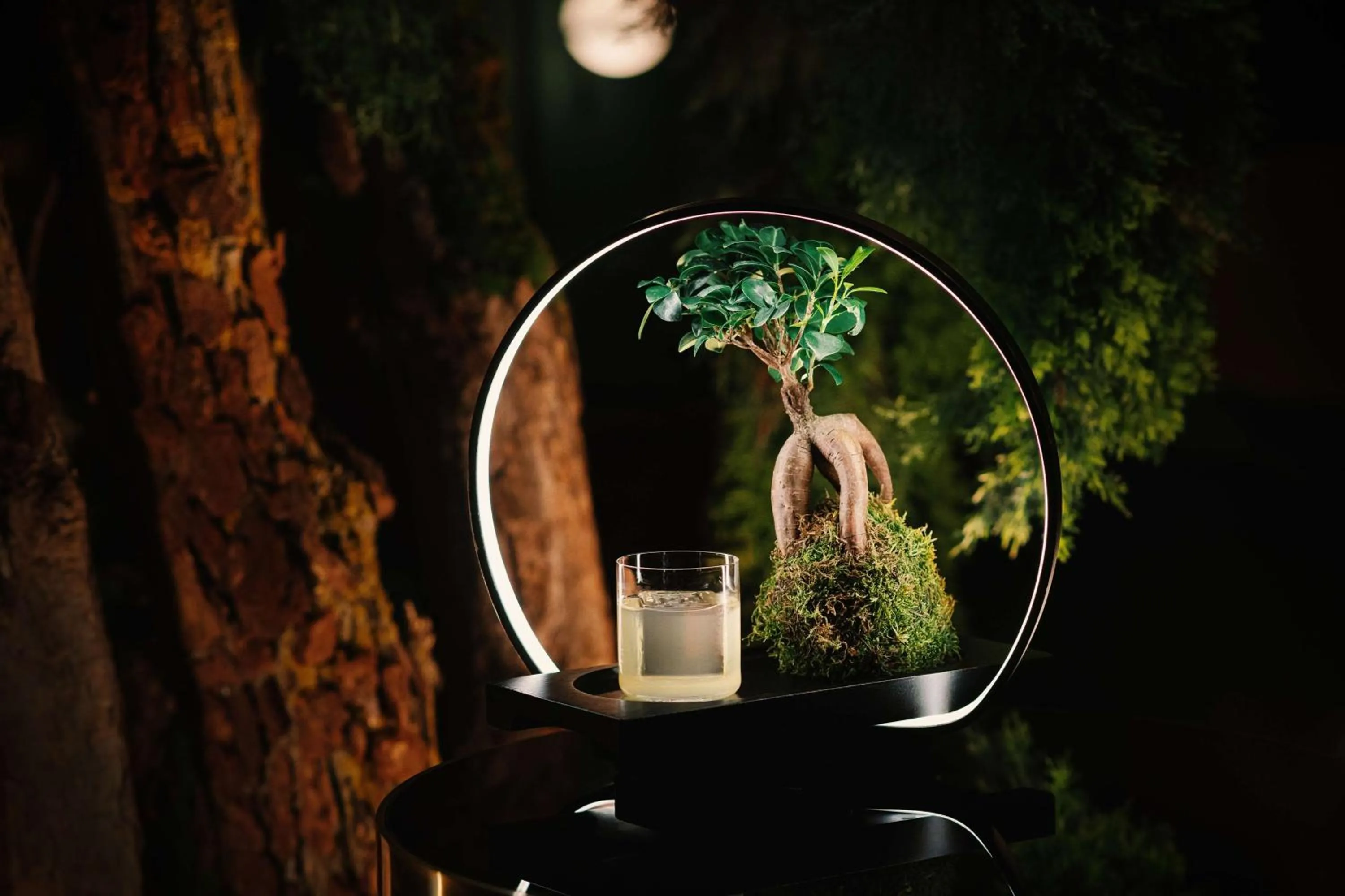 Food and drinks in Radisson Blu Carlton Hotel, Bratislava