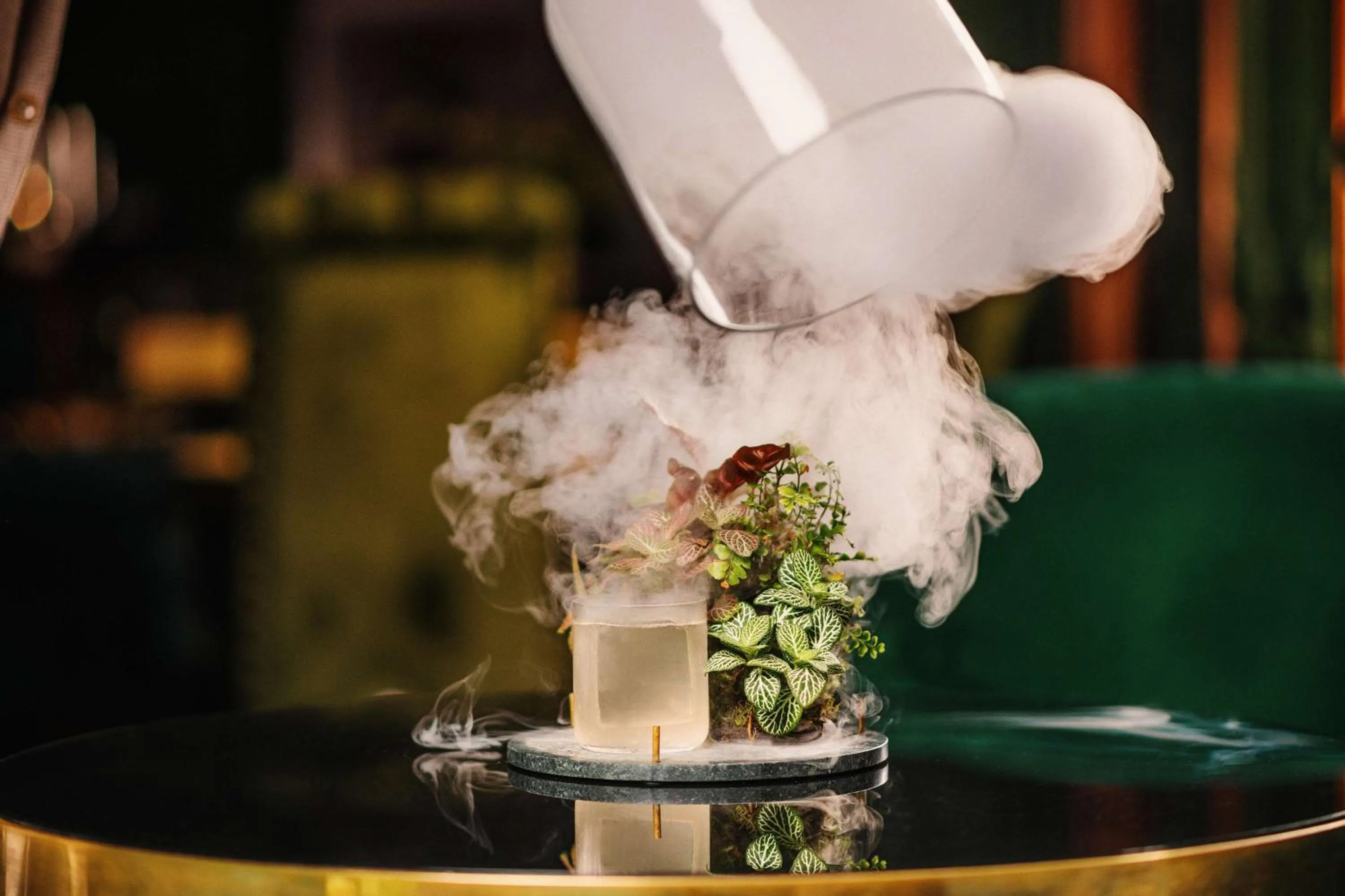 Food and drinks in Radisson Blu Carlton Hotel, Bratislava