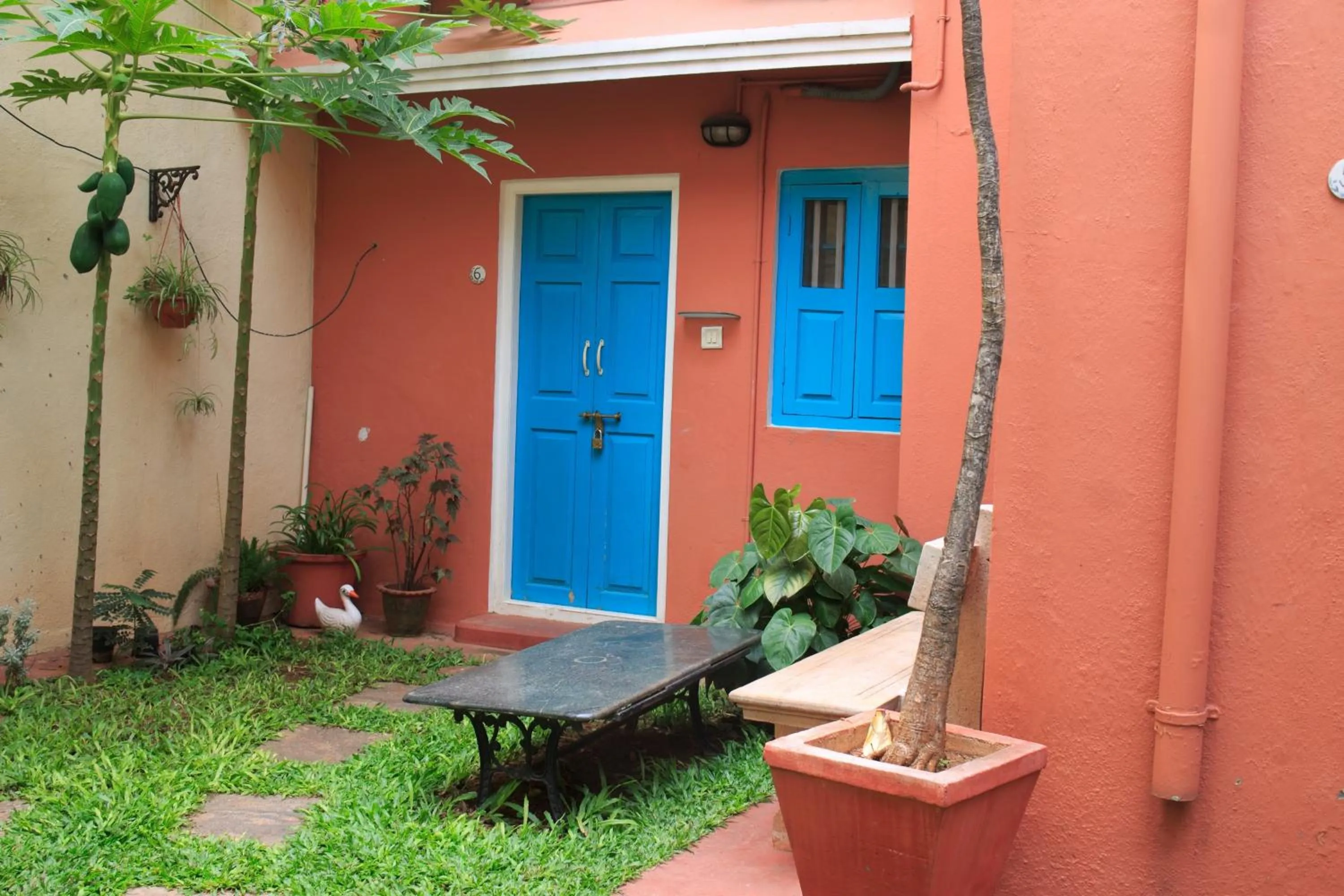 Garden in Casa Cottage