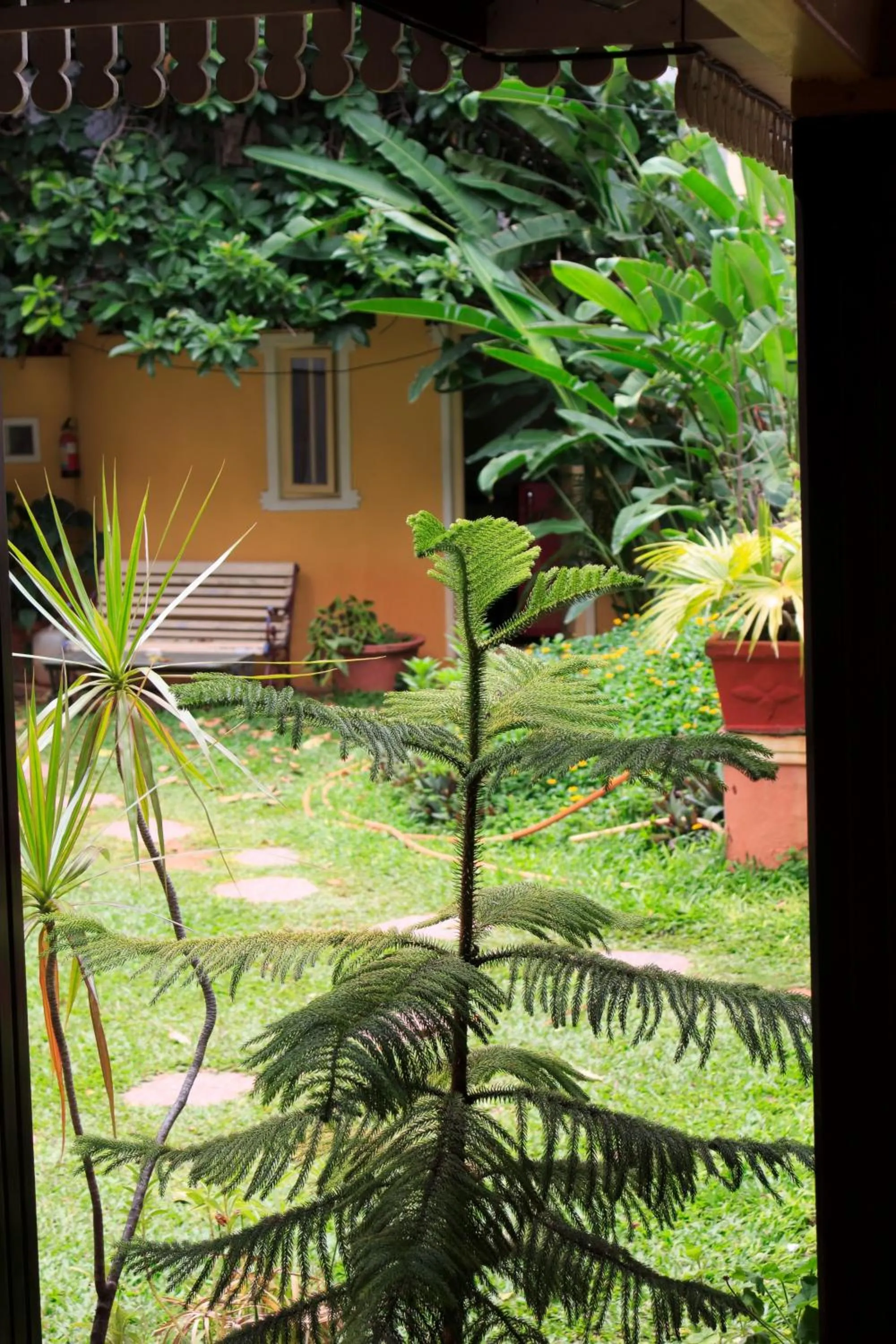 Garden in Casa Cottage