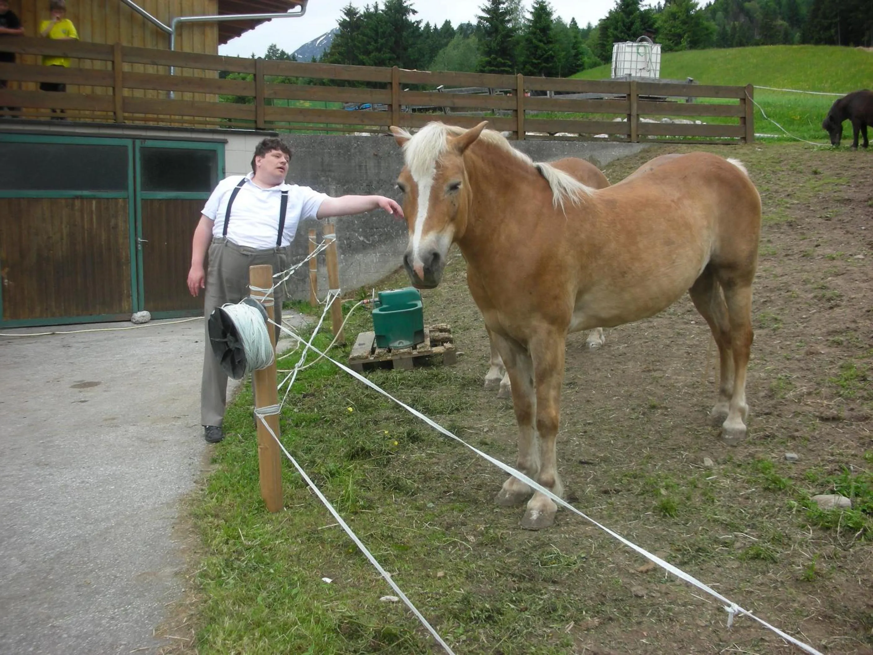 Animals in Stangleggerhof