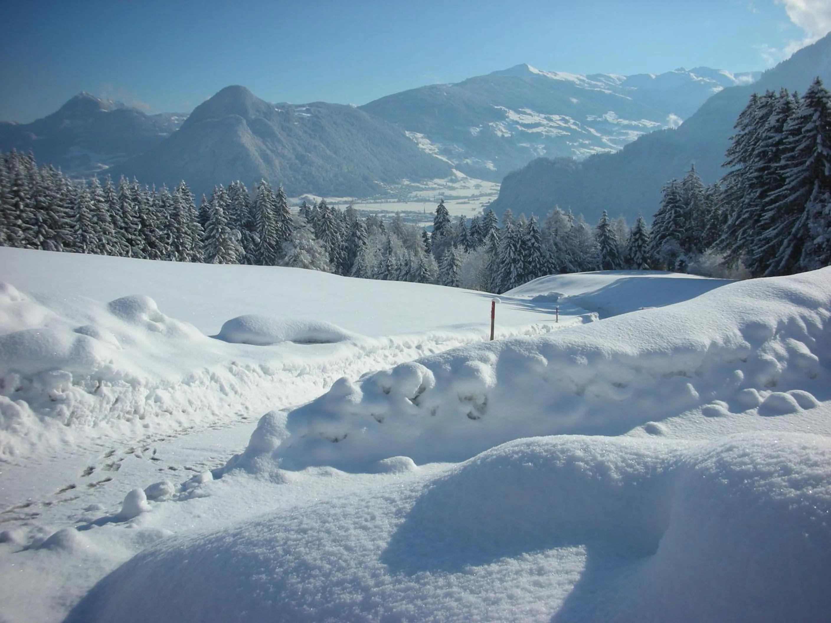 Day in Stangleggerhof