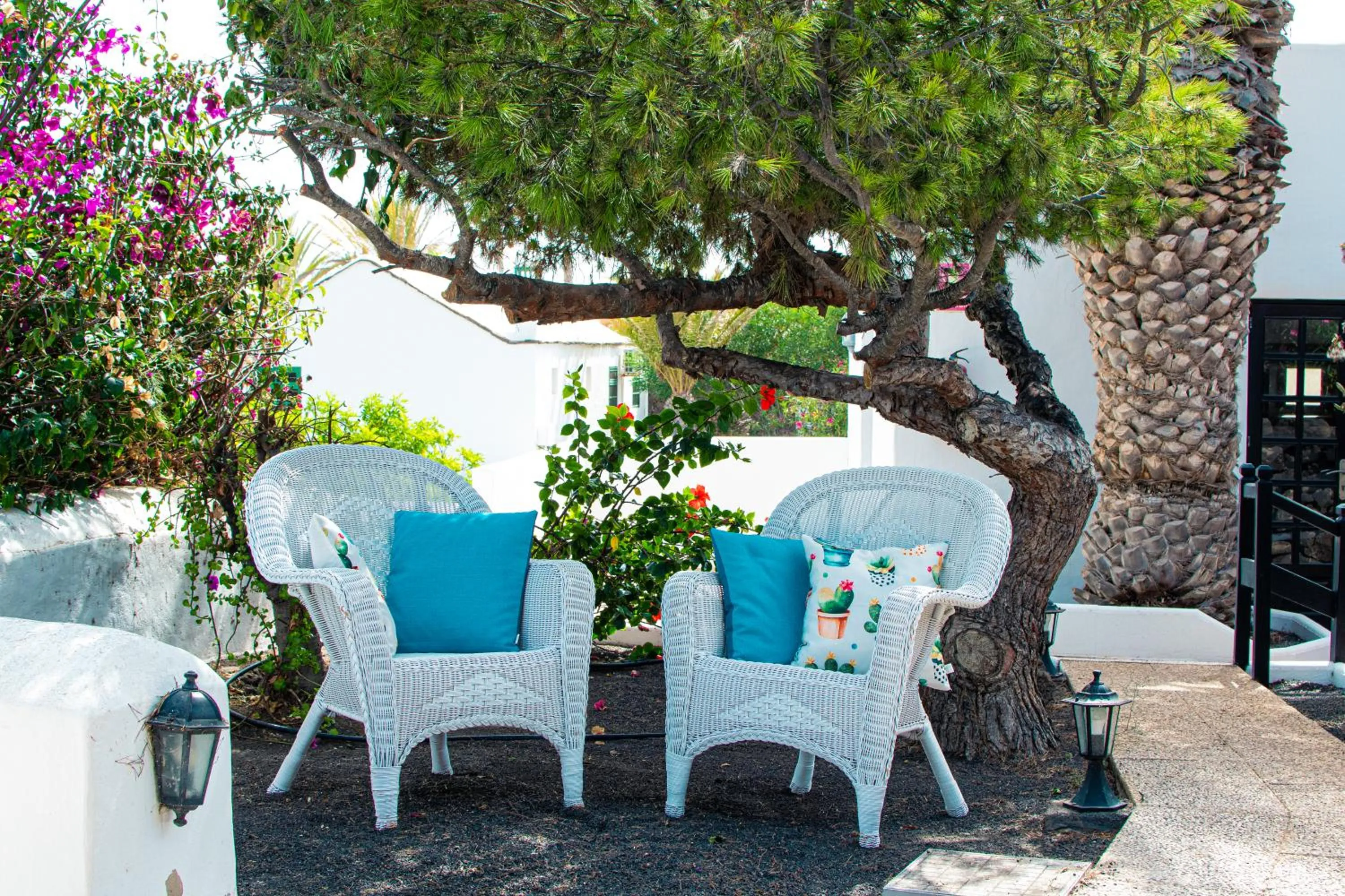 Garden in Casas Heddy, Well-being Resort