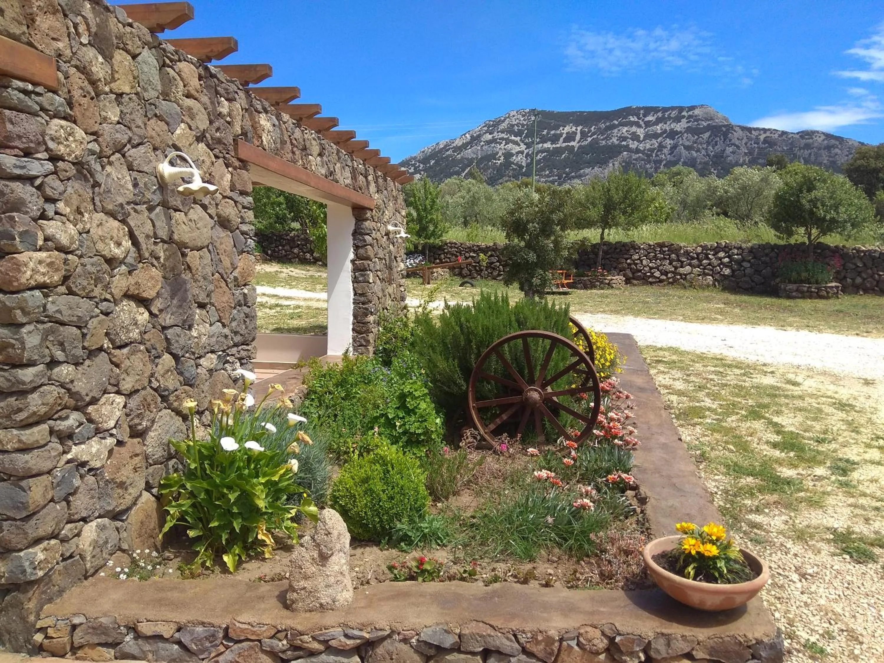 Garden in Hotel Barbagia