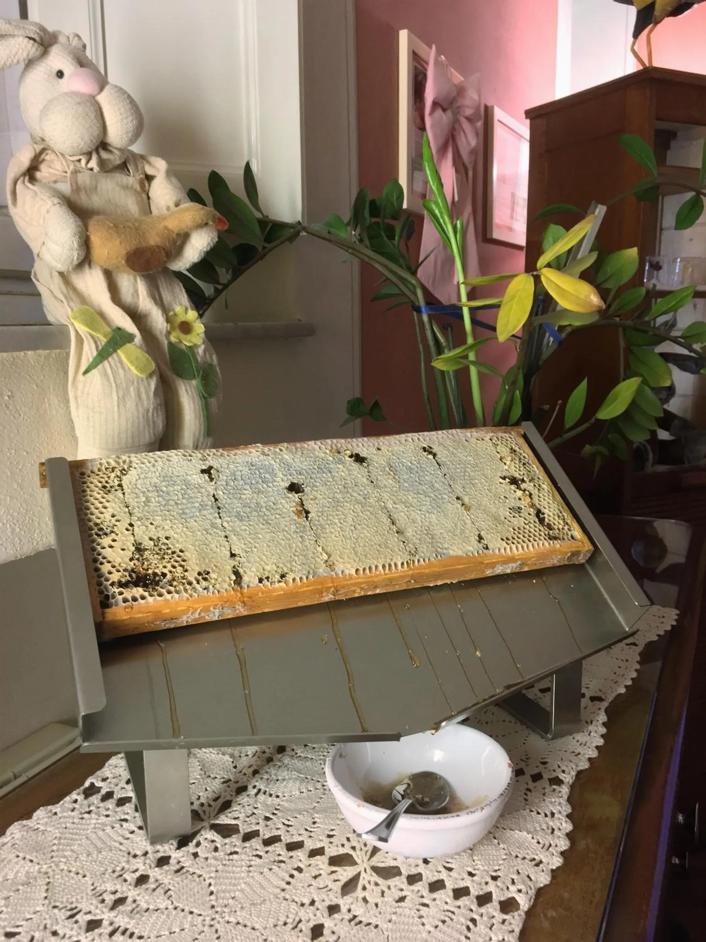 Buffet breakfast in Hotel Diana & Depandance