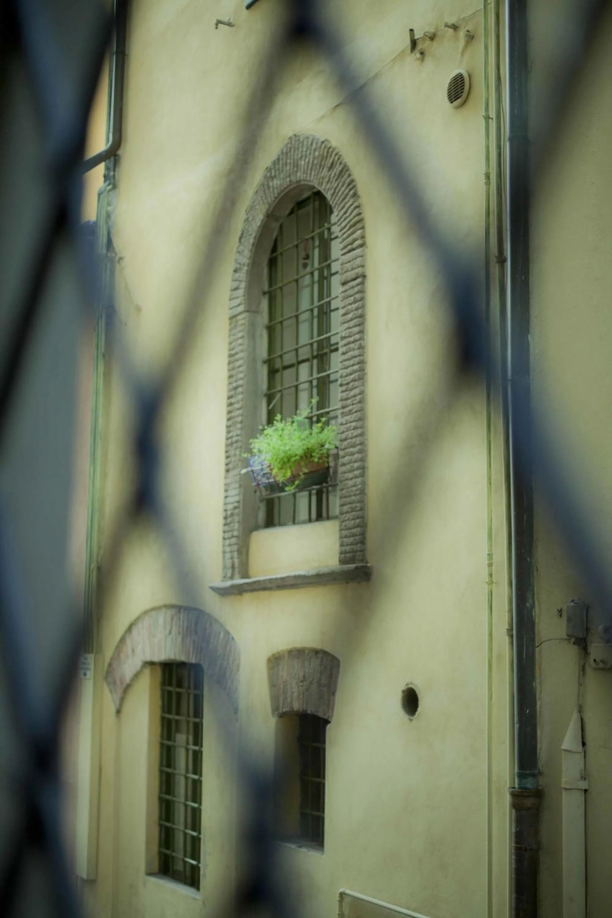 View (from property/room) in Hotel Diana & Depandance