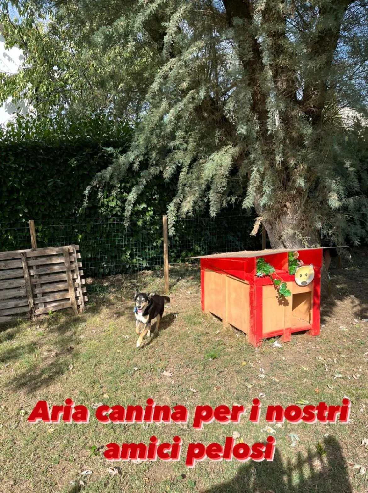 Pets in Residence Mugello Resort