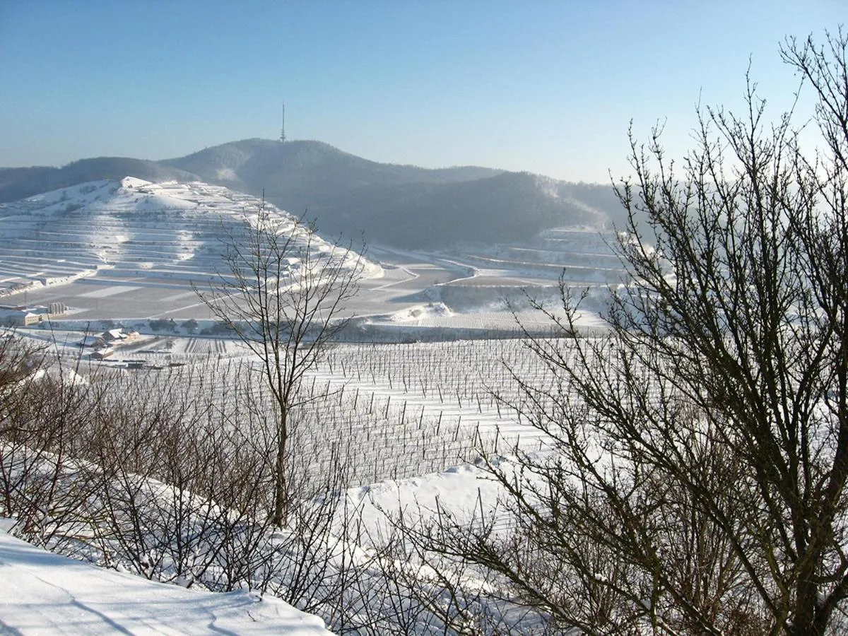 Natural landscape in Die Sprachpension - The Language Guesthouse