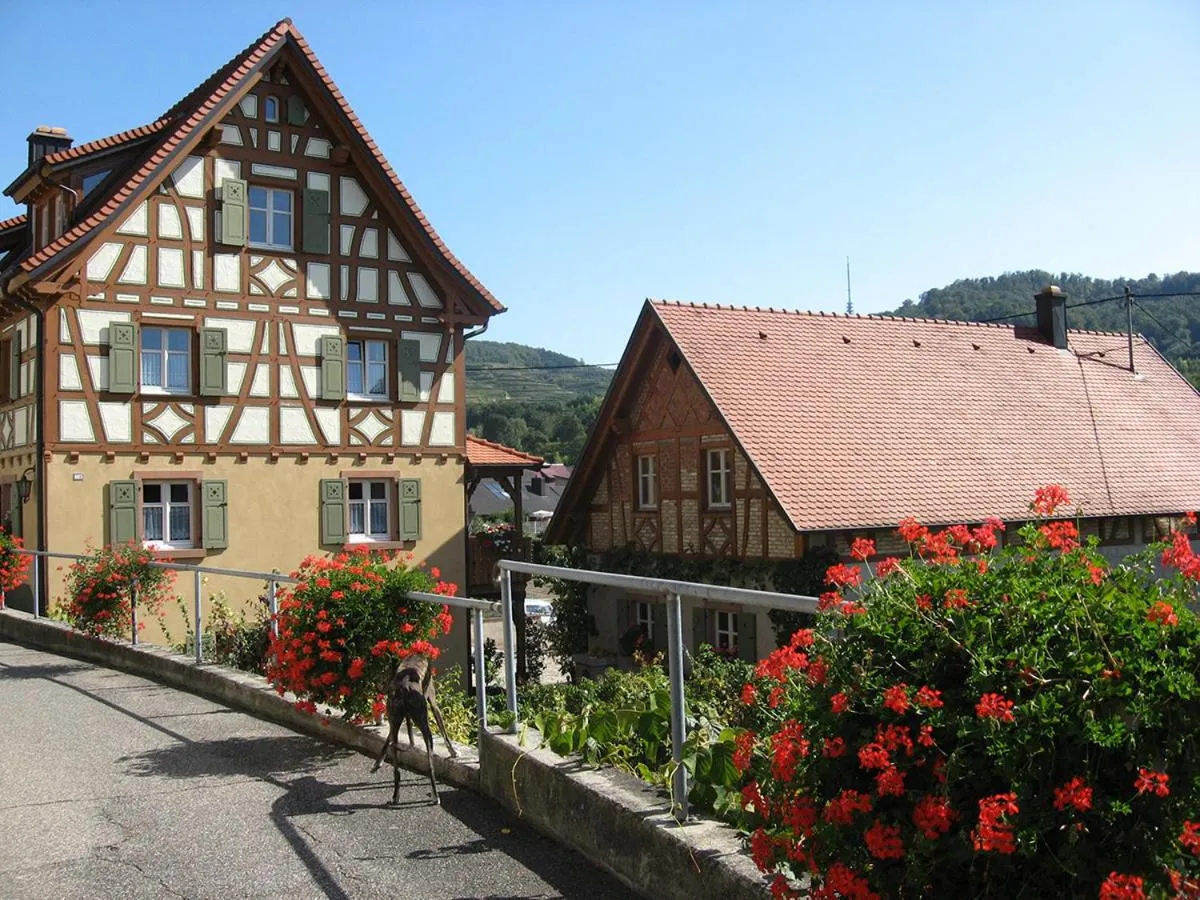 Neighbourhood in Die Sprachpension - The Language Guesthouse