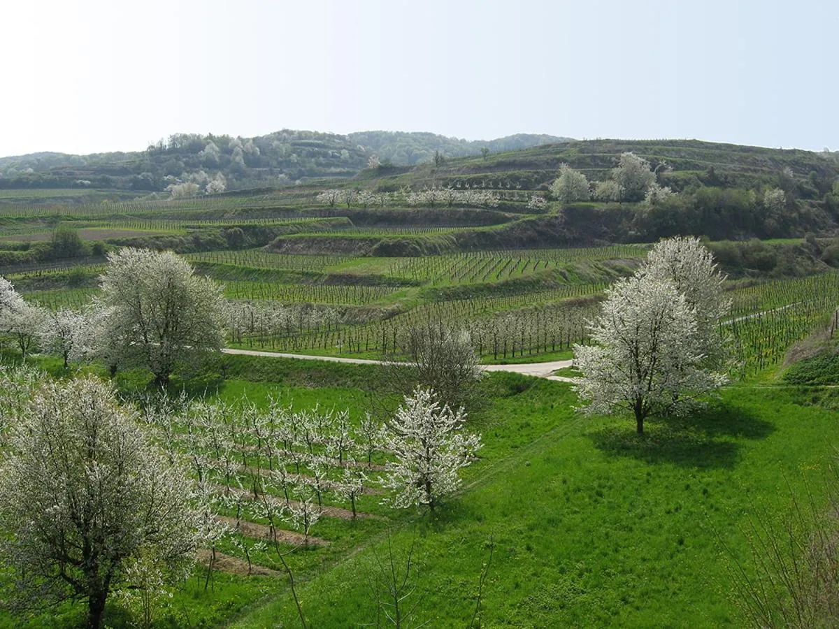 Natural landscape in Die Sprachpension - The Language Guesthouse
