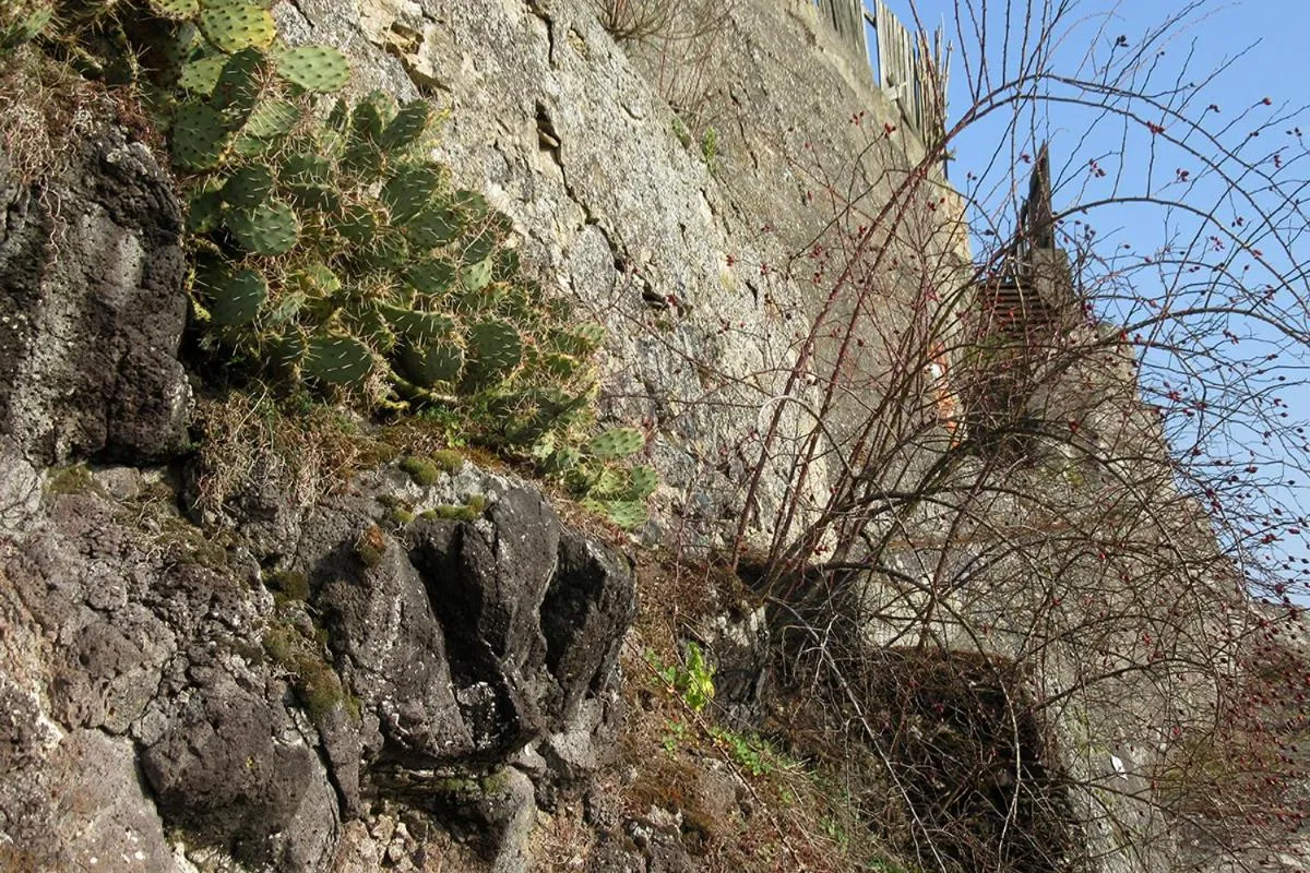 Natural landscape in Die Sprachpension - The Language Guesthouse