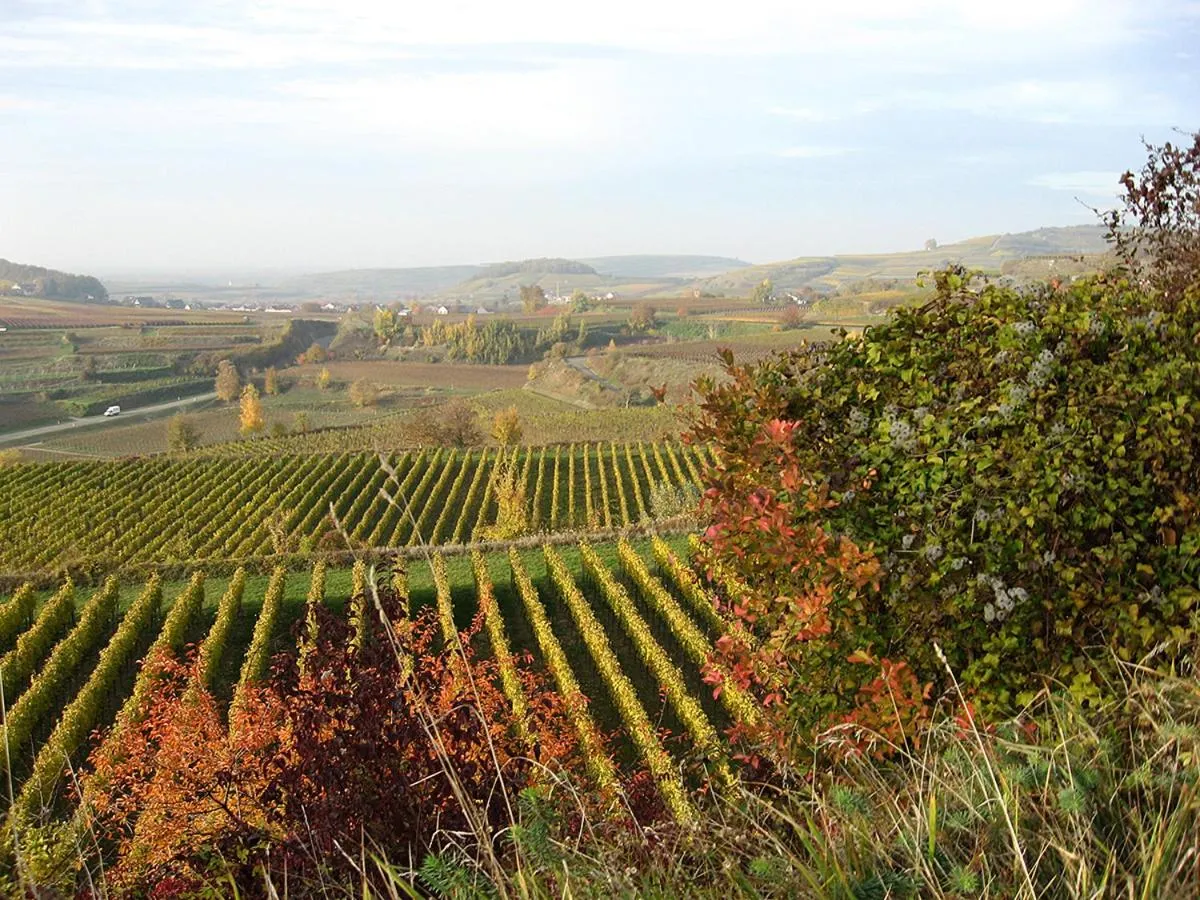 Natural landscape in Die Sprachpension - The Language Guesthouse