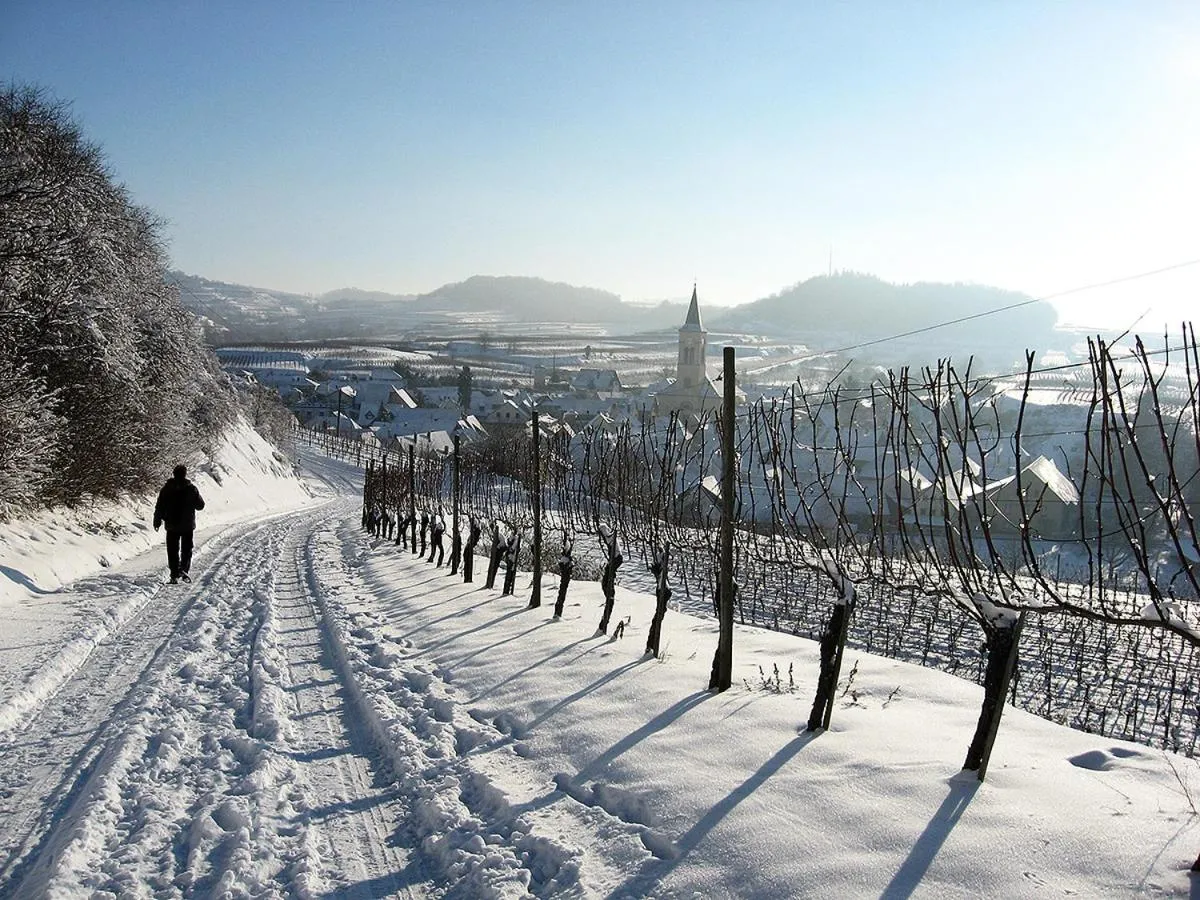 Natural landscape in Die Sprachpension - The Language Guesthouse