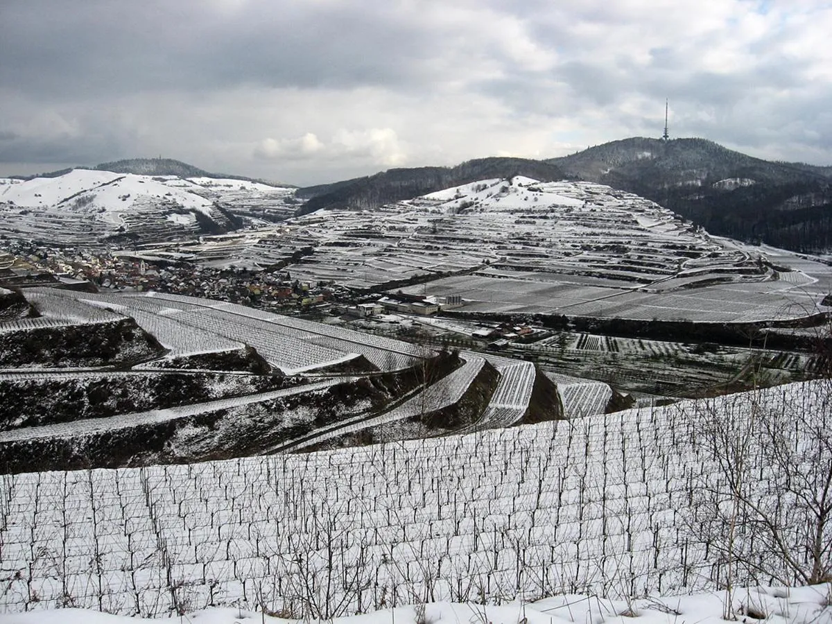 Natural landscape in Die Sprachpension - The Language Guesthouse