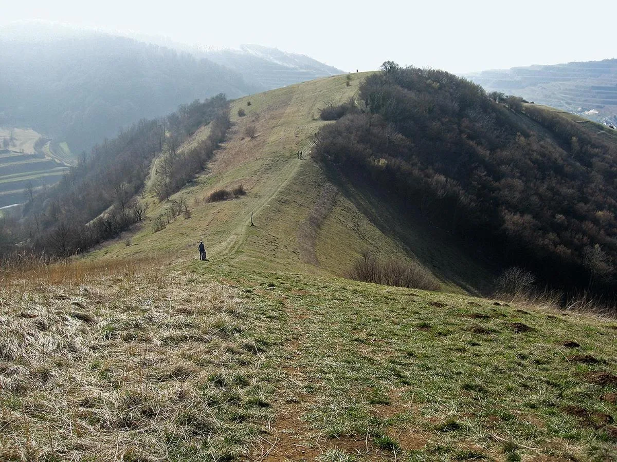 Natural landscape in Die Sprachpension - The Language Guesthouse