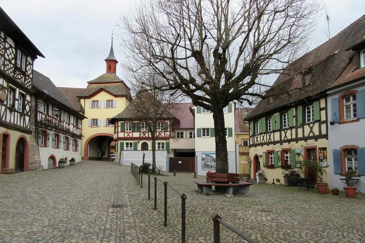 Area and facilities in Die Sprachpension - The Language Guesthouse