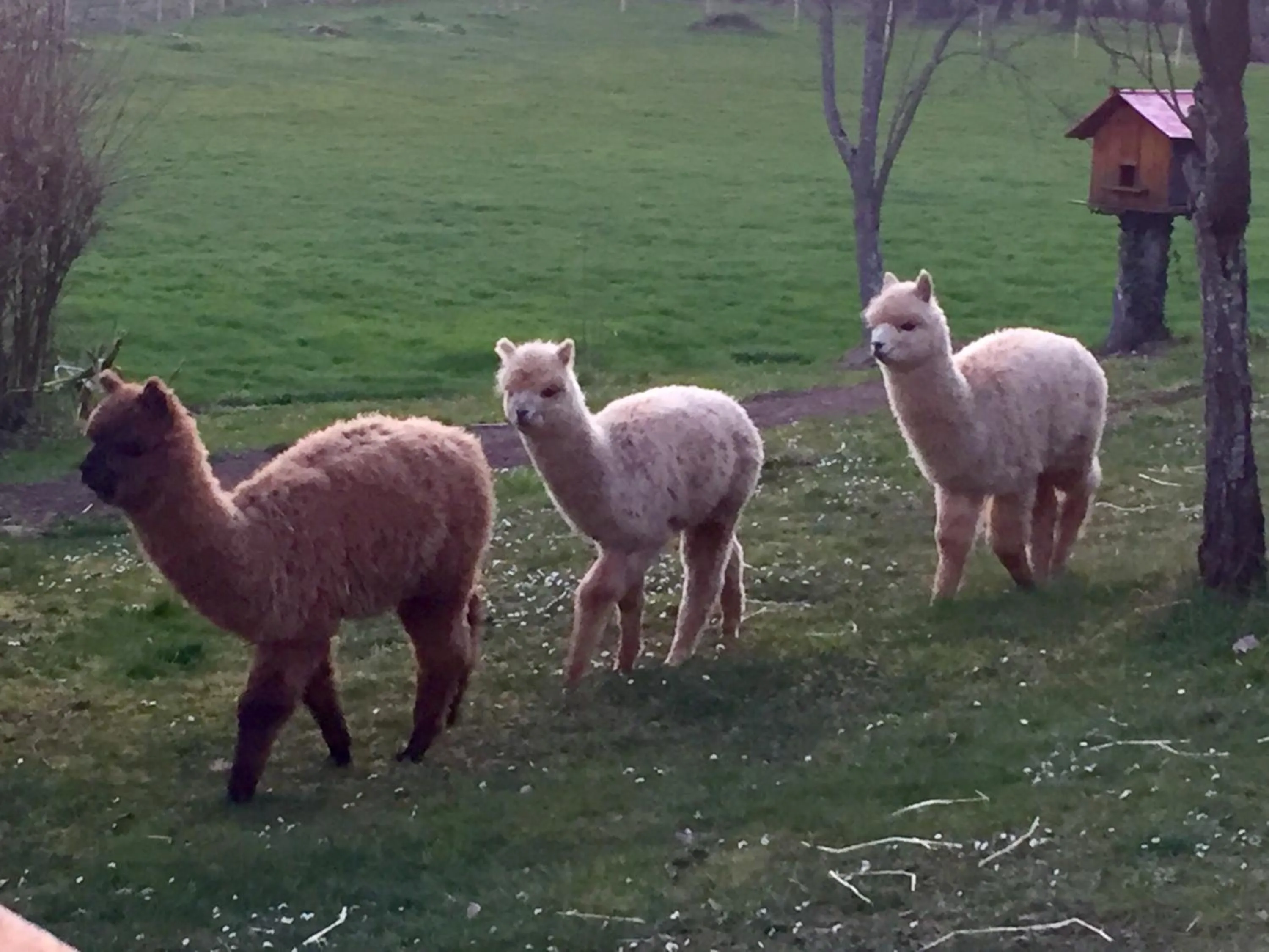 Other in Logis Hostellerie la Chaumière