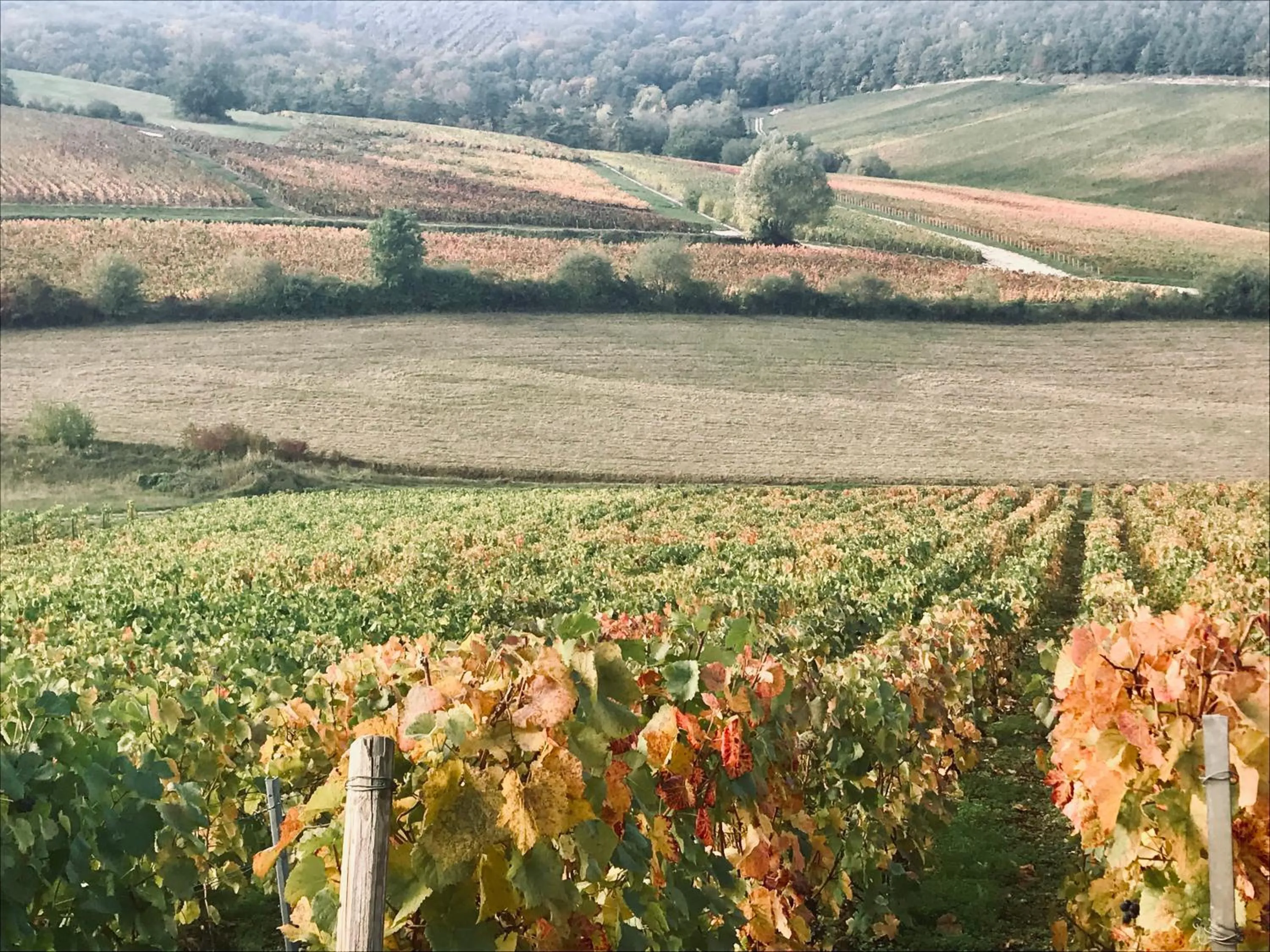 Natural landscape in Logis Hostellerie la Chaumière