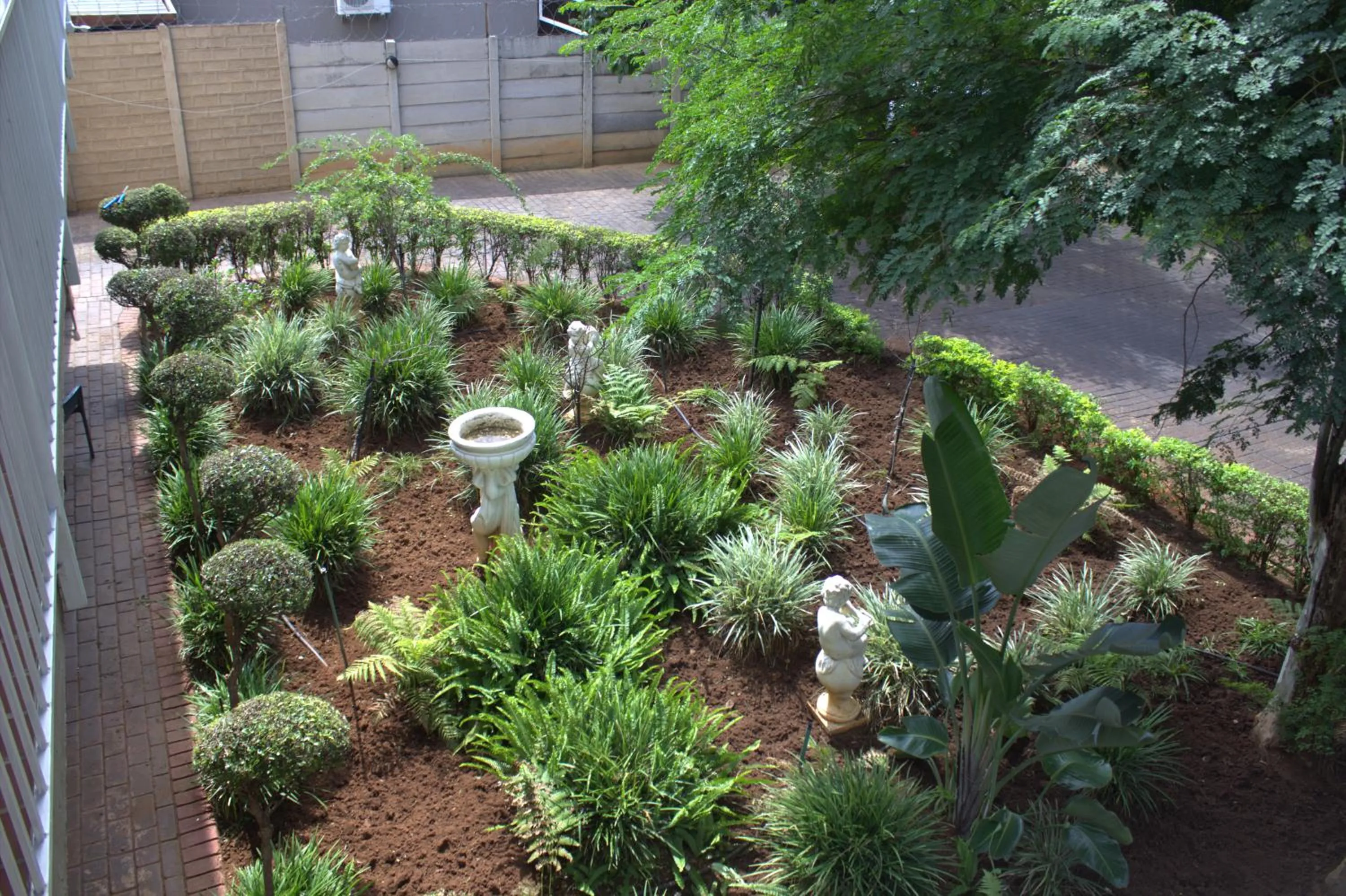 Garden view in Purple Olive Guest House