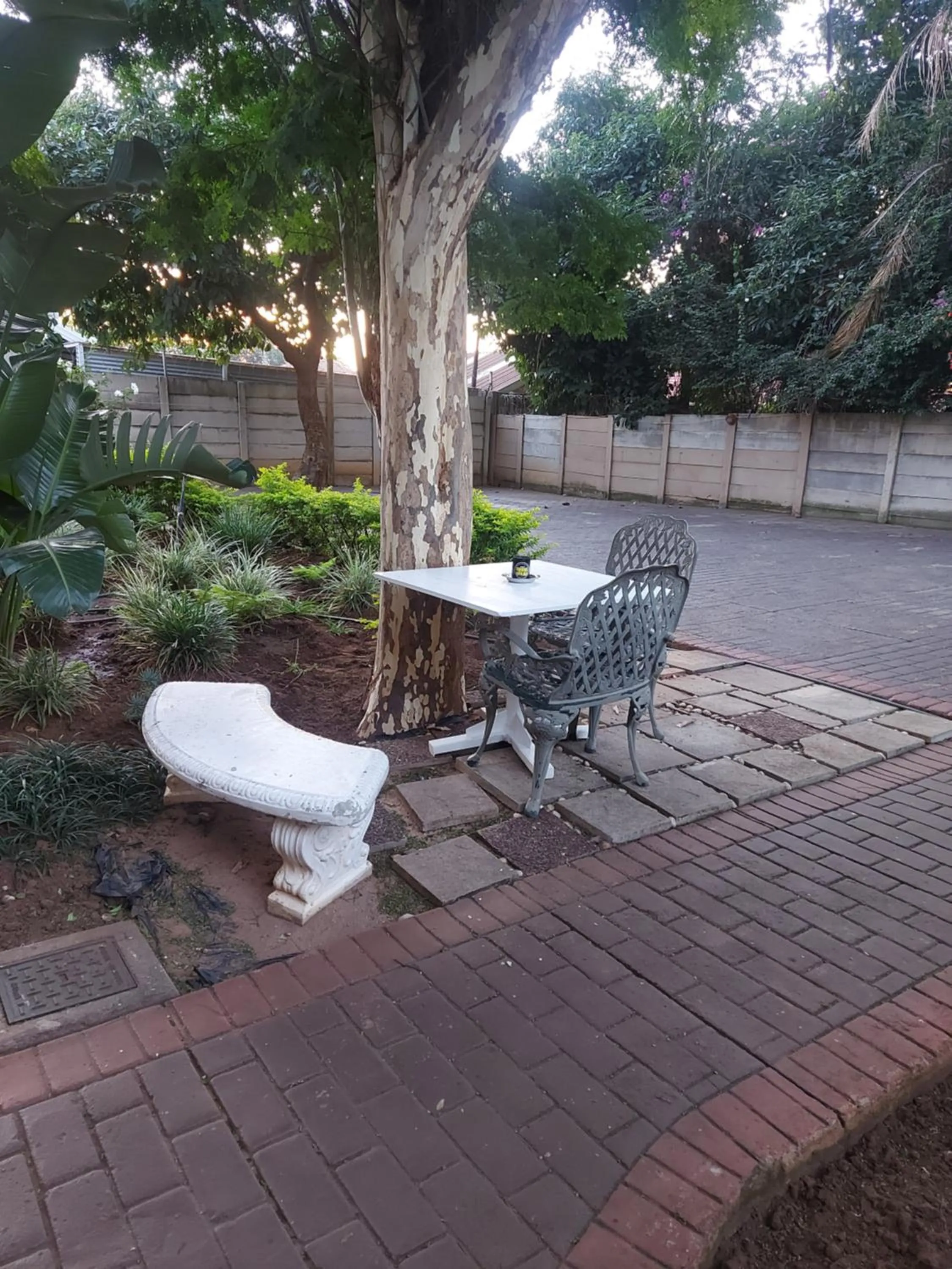 Patio in Purple Olive Guest House