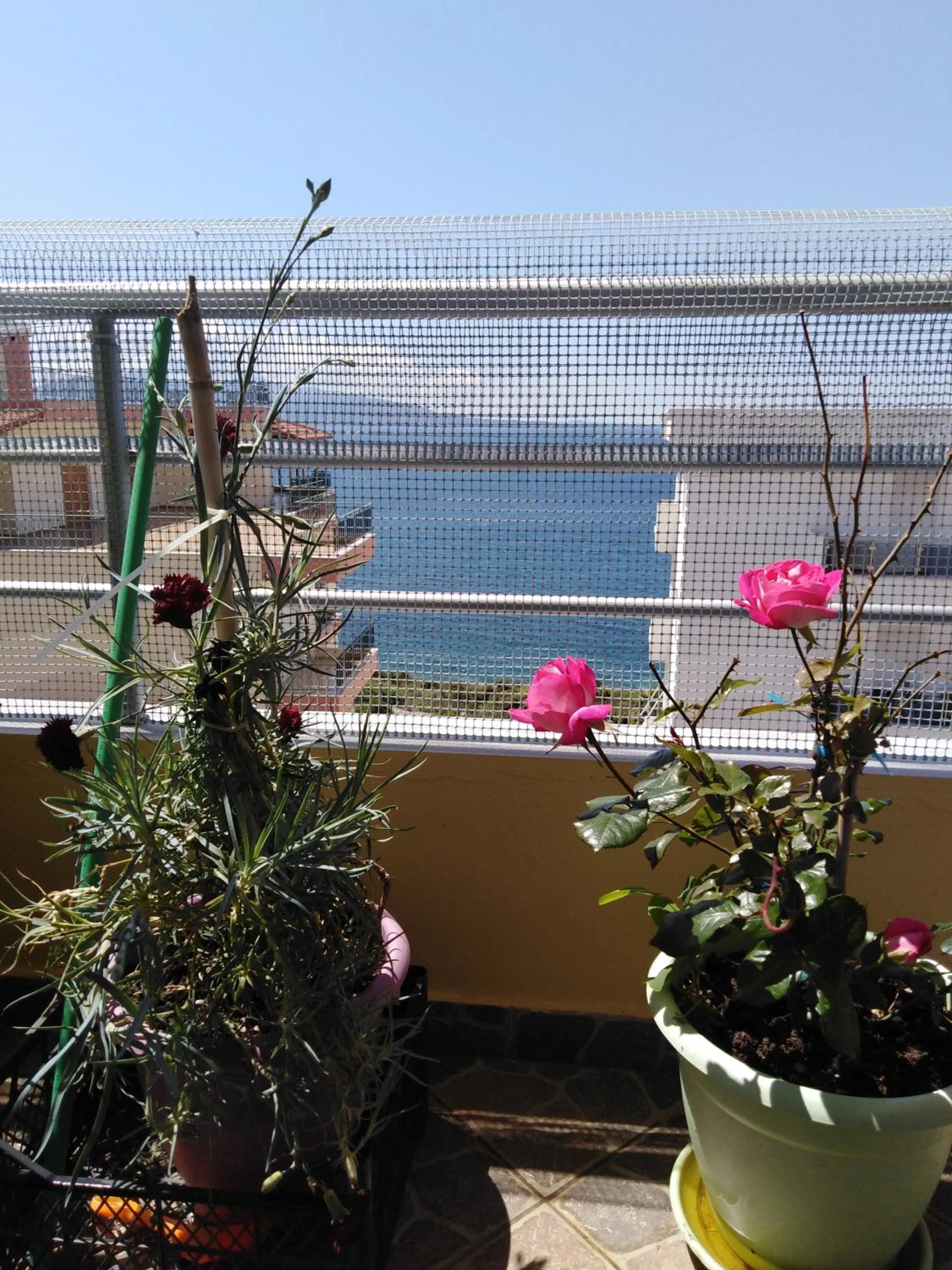 View (from property/room) in DOWN TOWN LUXURY Apartment