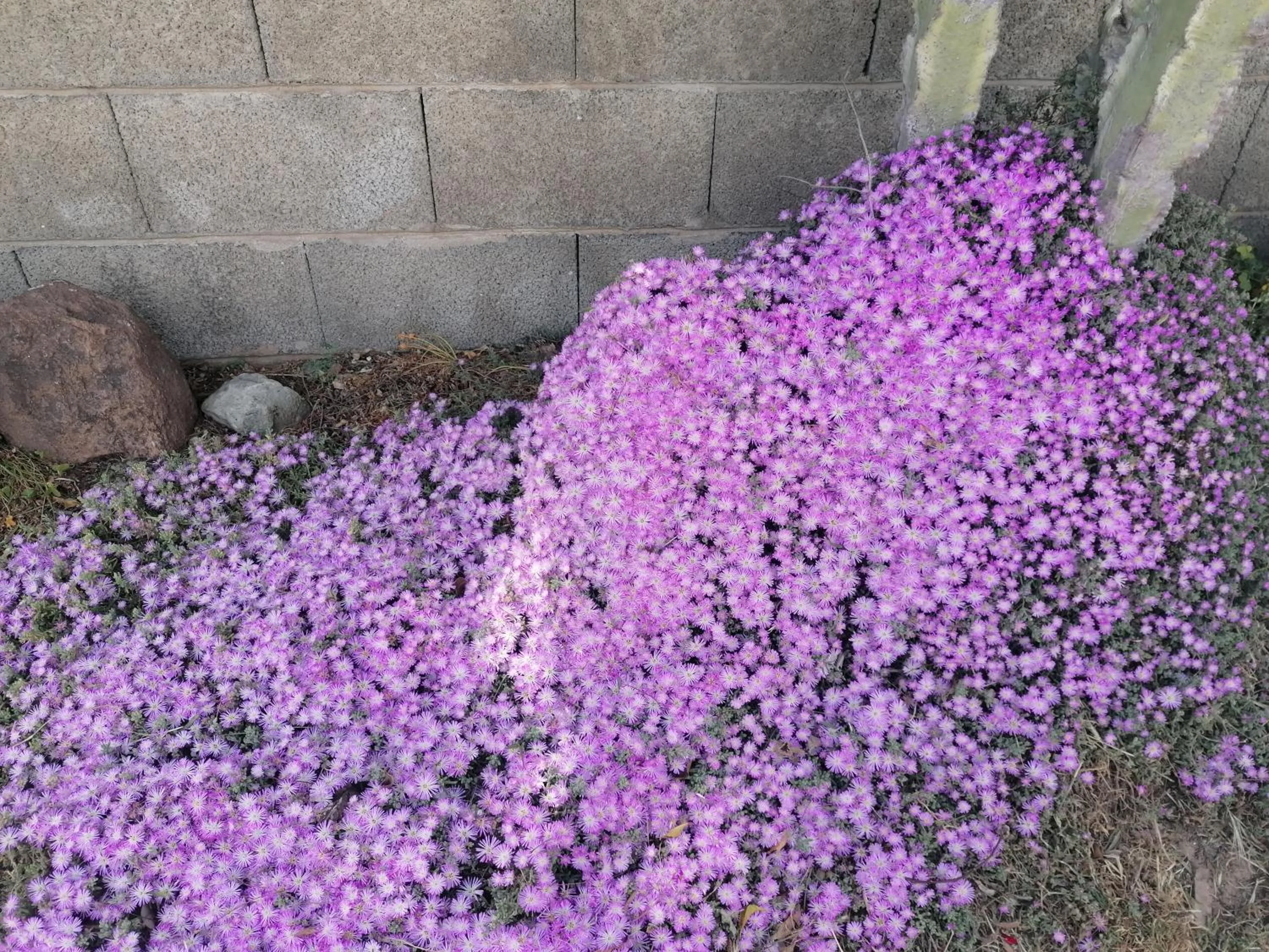 View (from property/room) in Su Matutzu