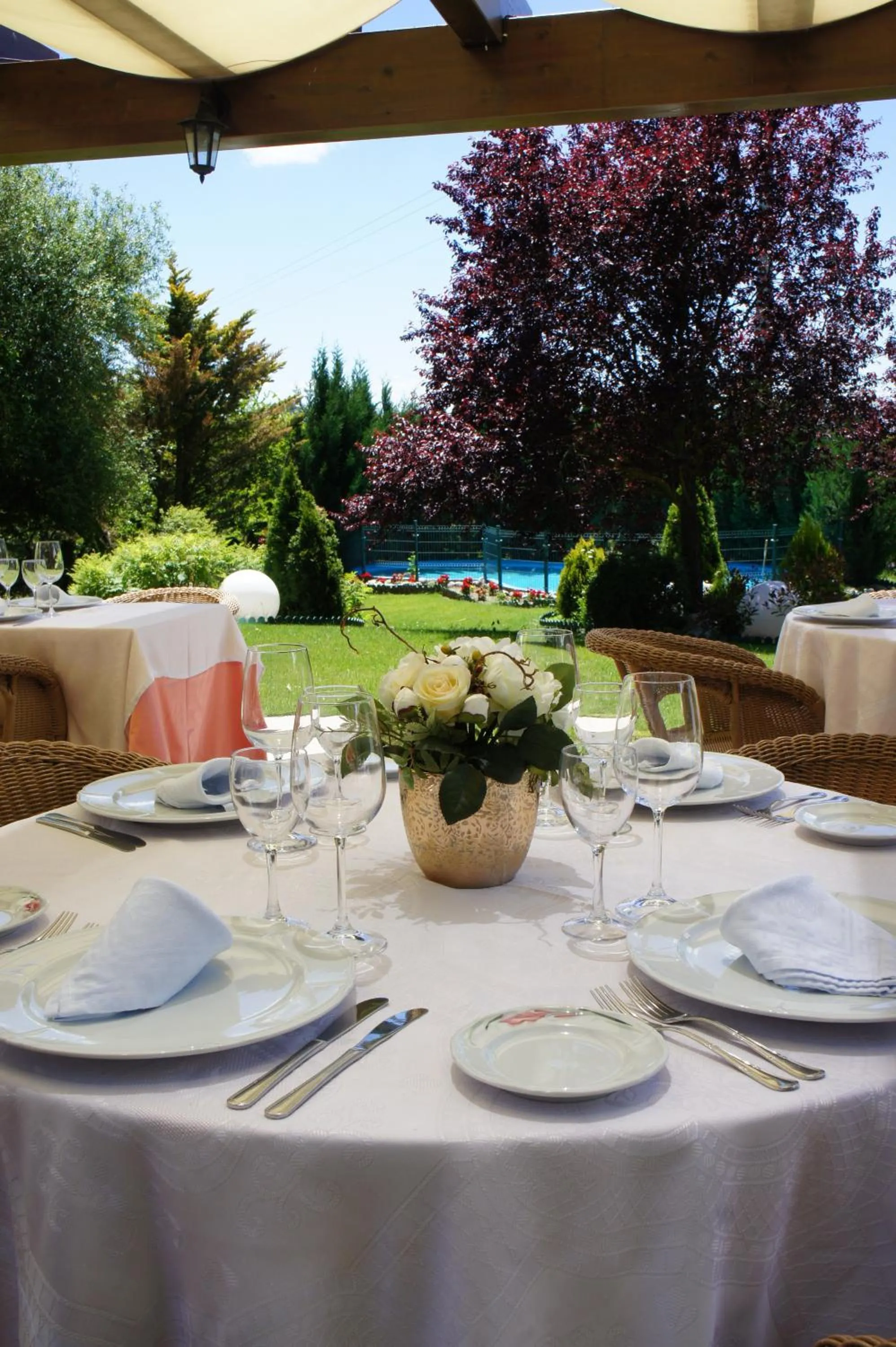 Garden in Hotel Montermoso