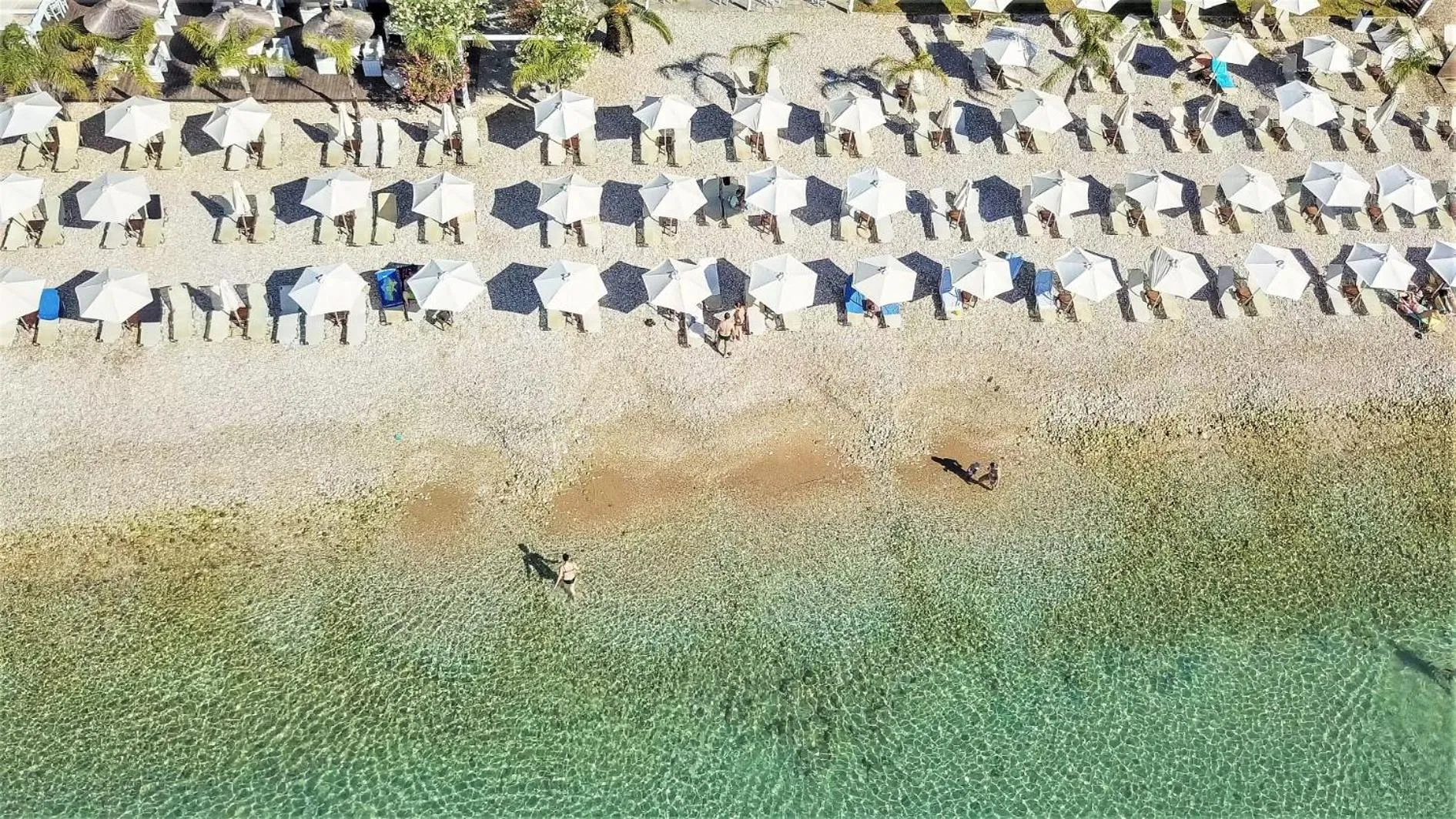 Beach in Corfu Aquamarine Hotel