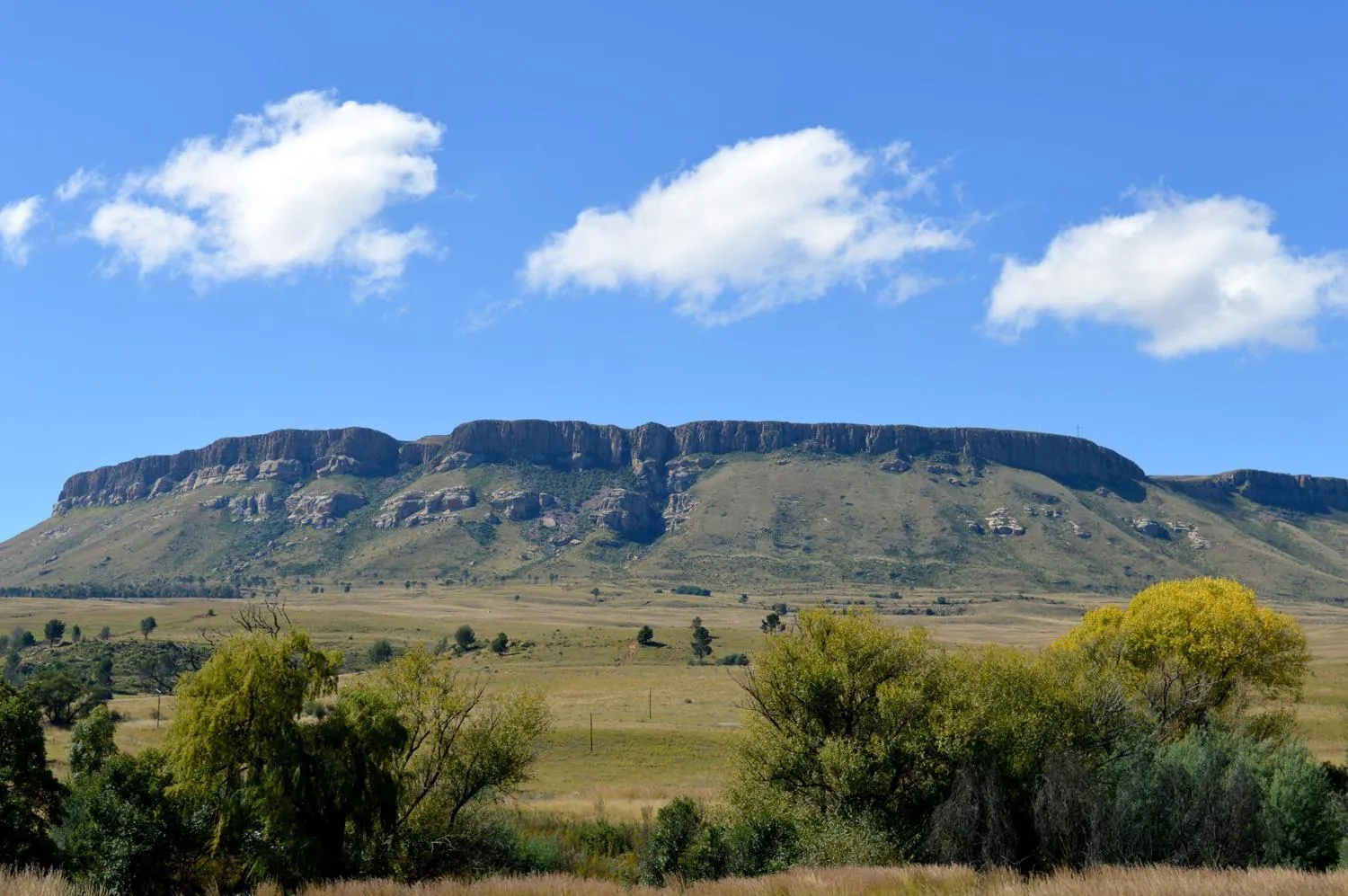 Natural landscape in Village Lodge Harrismith
