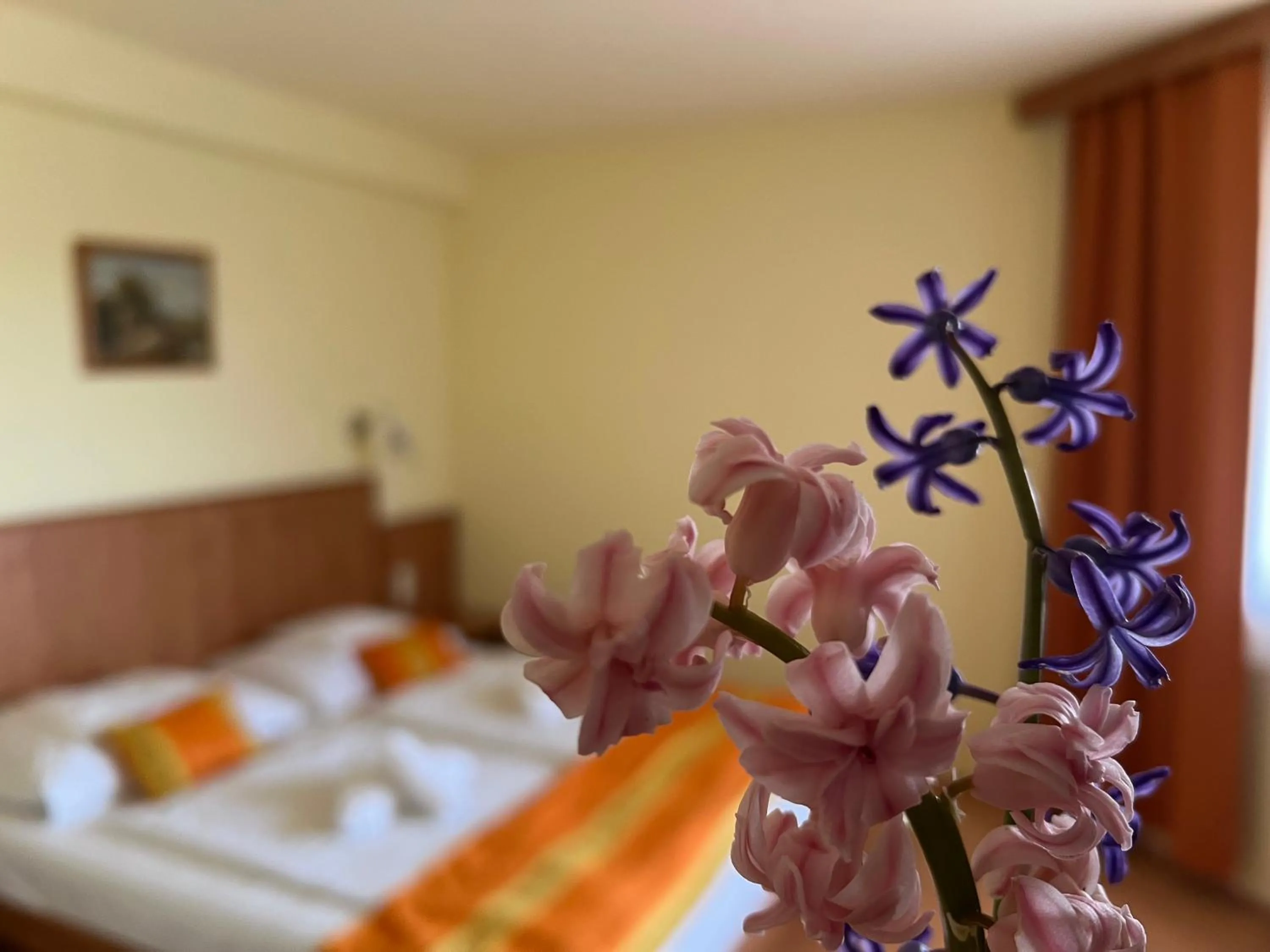 Decorative detail, Bed in Aqua Therm Hotel