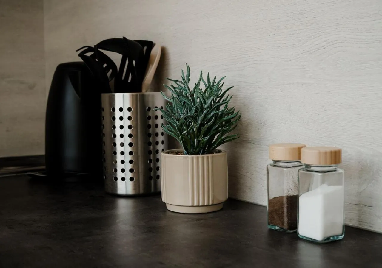Kitchen or kitchenette in Hotel Magnólia