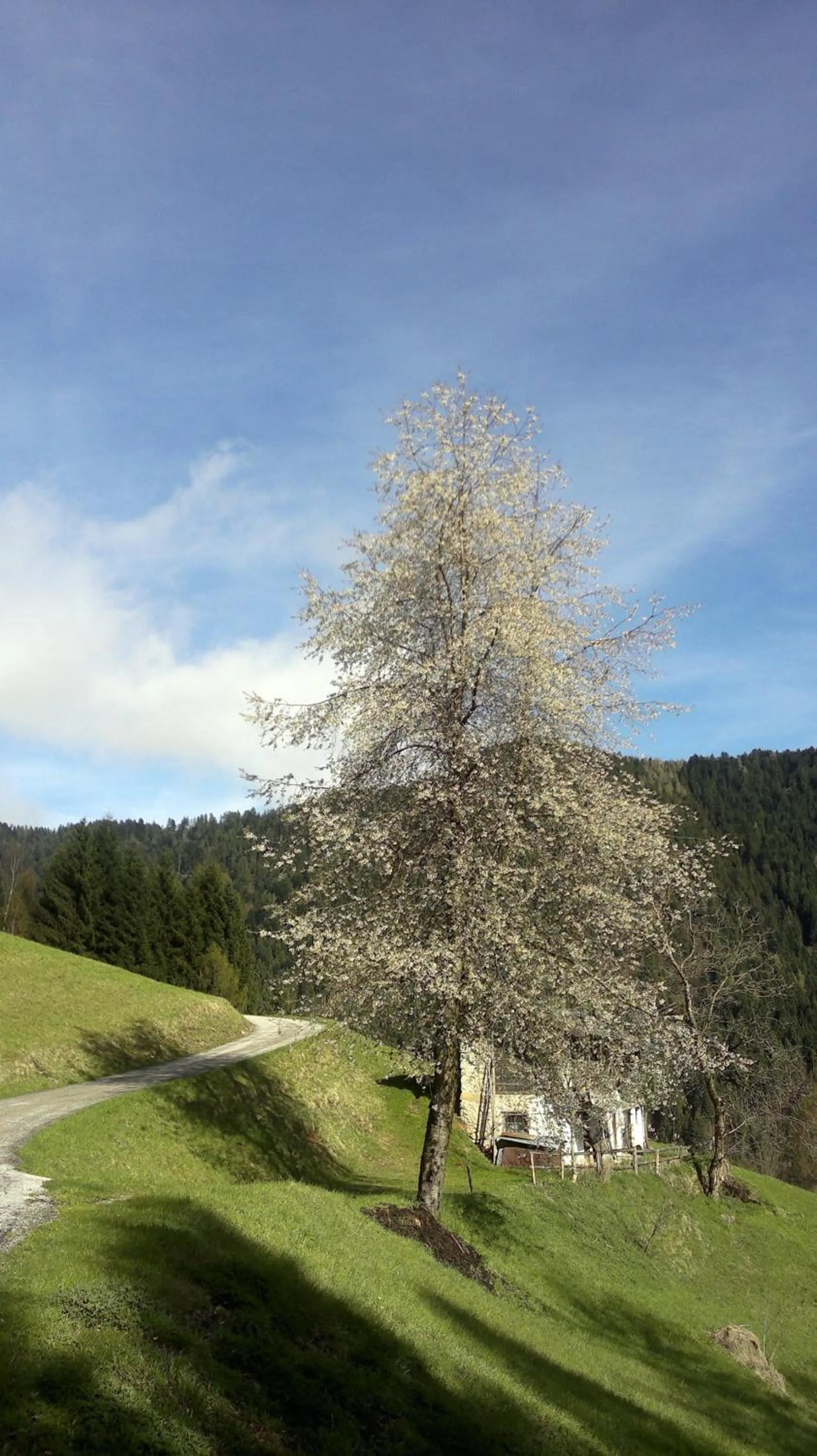 Spring in Hotel Serenella