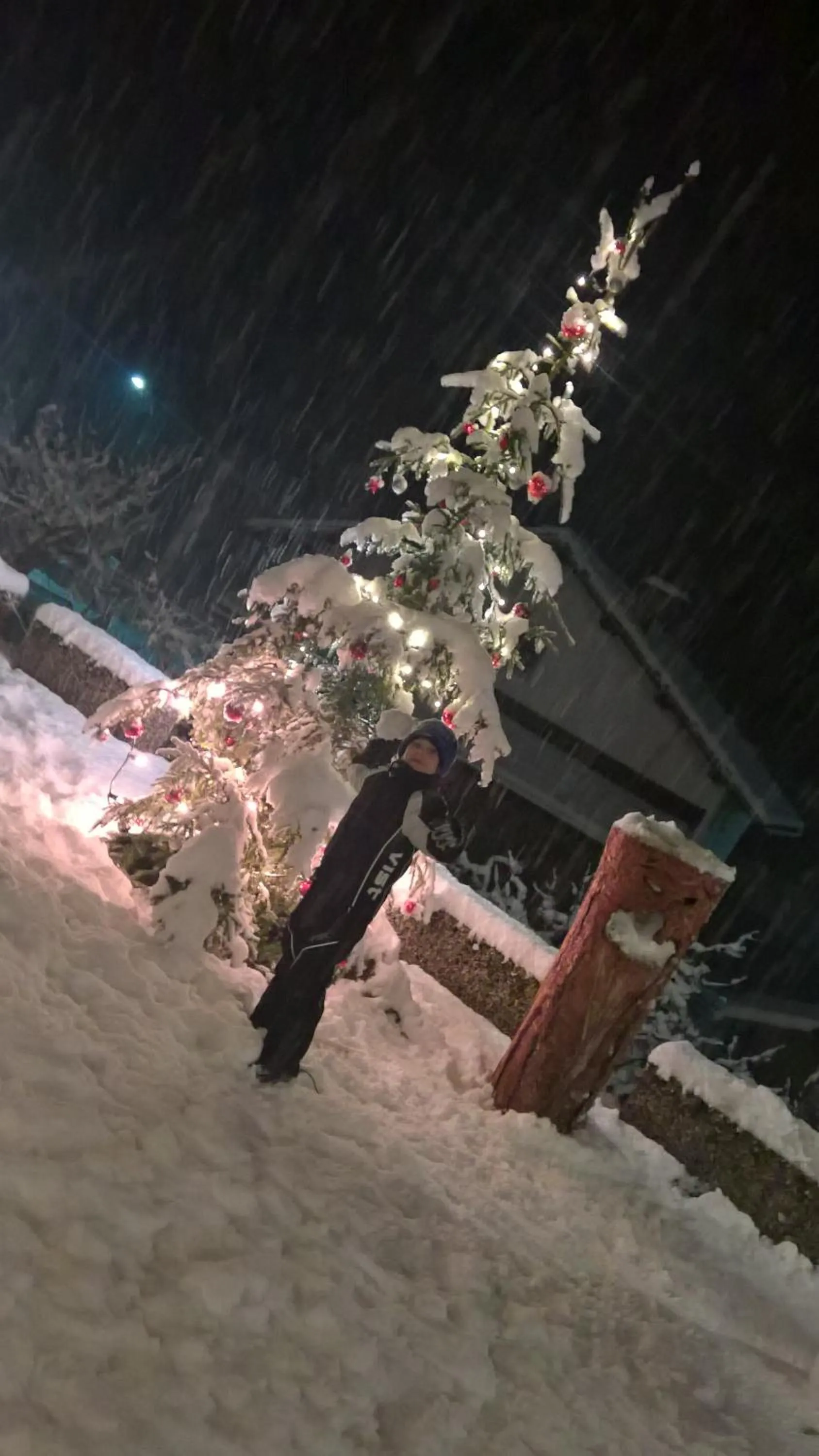 Balcony/Terrace in Hotel Serenella