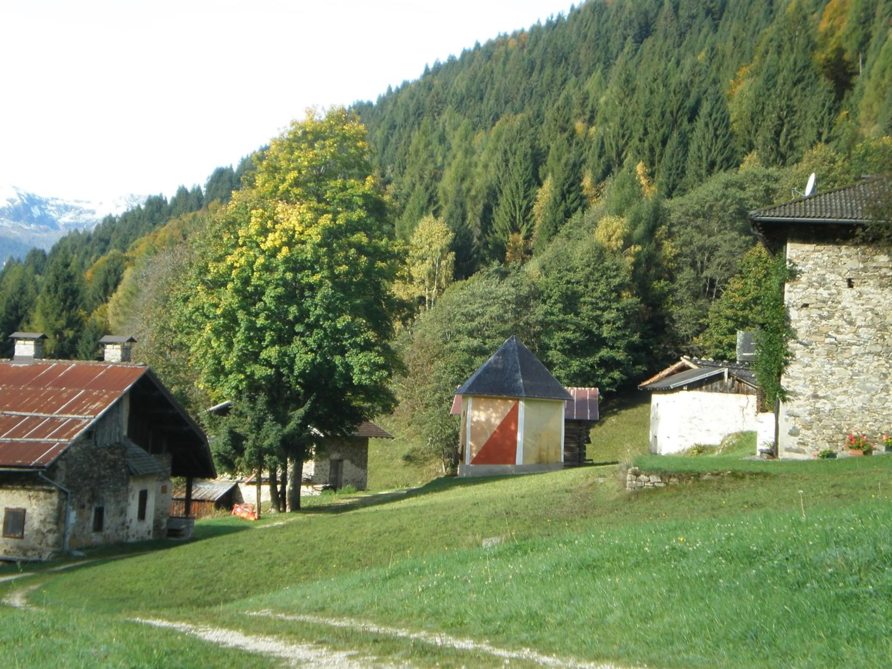 Area and facilities in Hotel Serenella