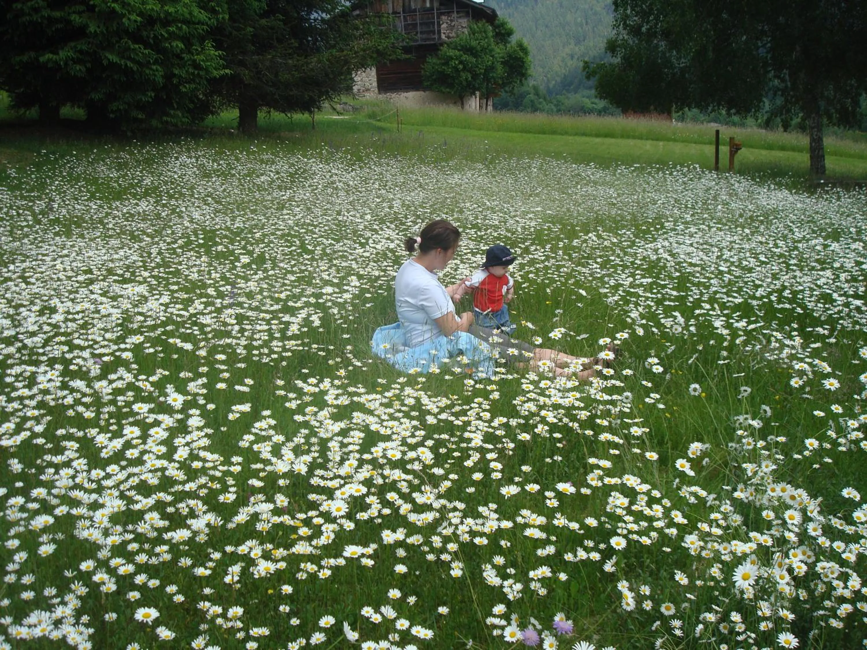 Spring in Hotel Serenella