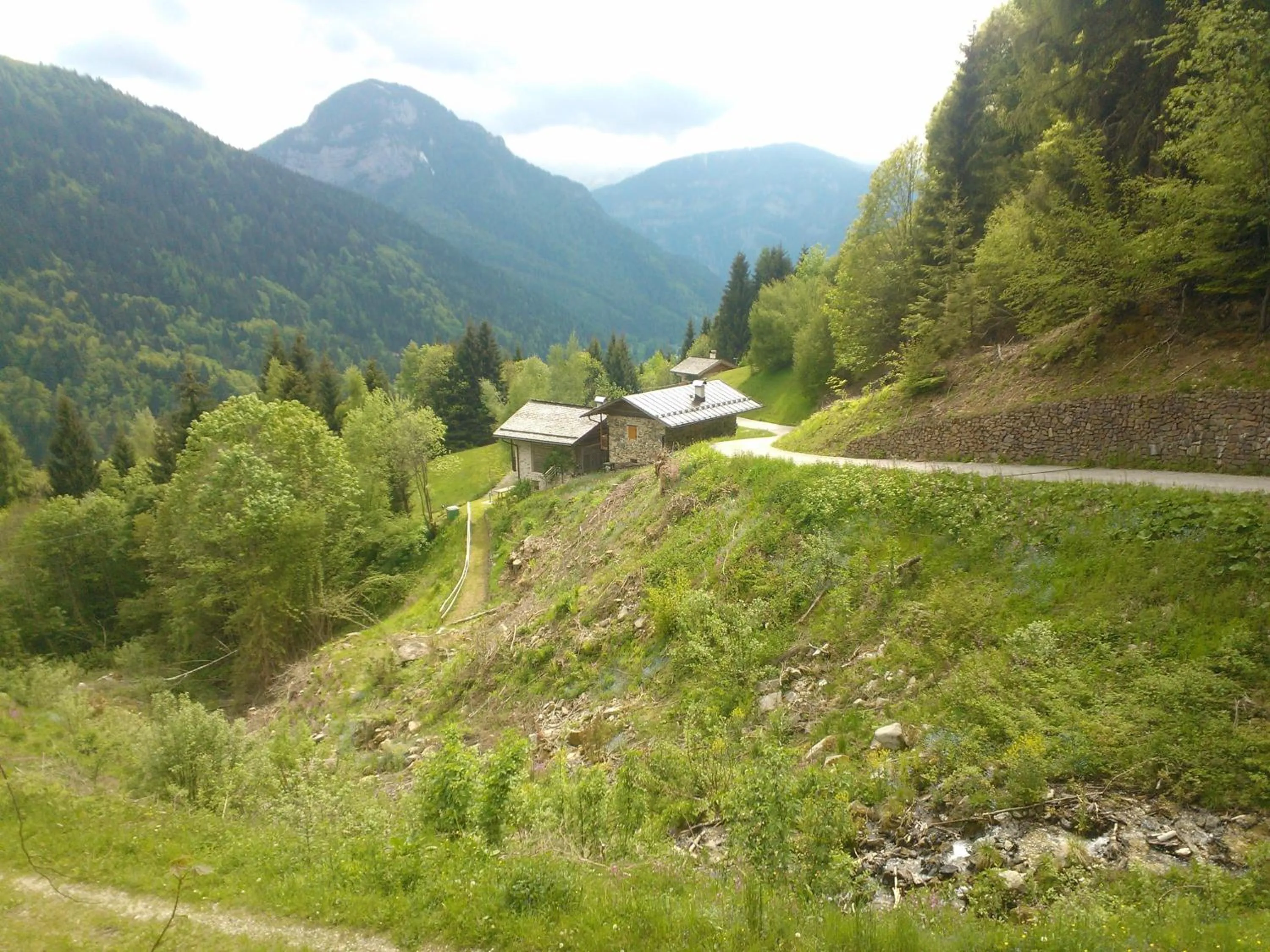 Area and facilities in Hotel Serenella