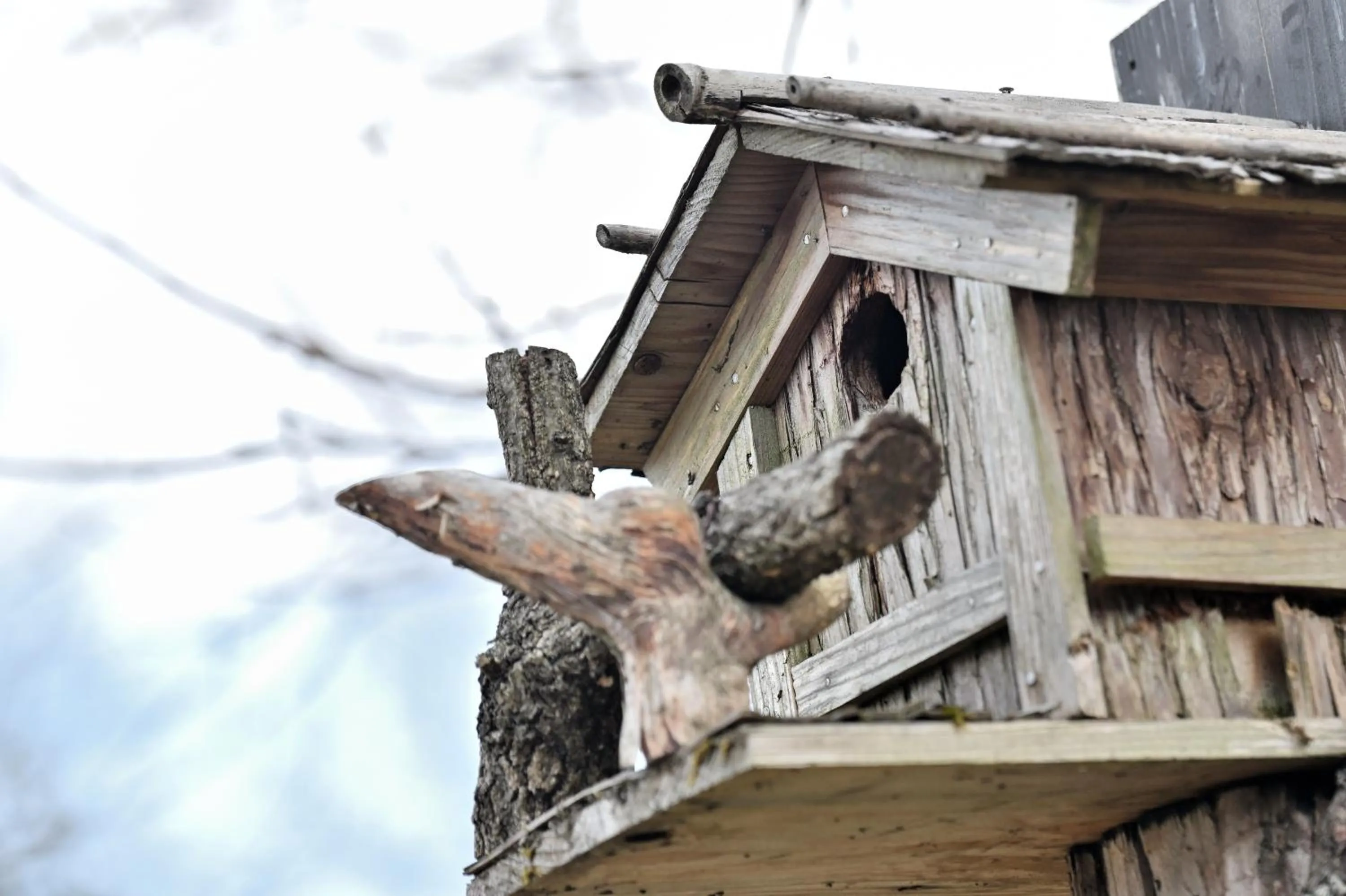 Day in Shikinosato Hanamura